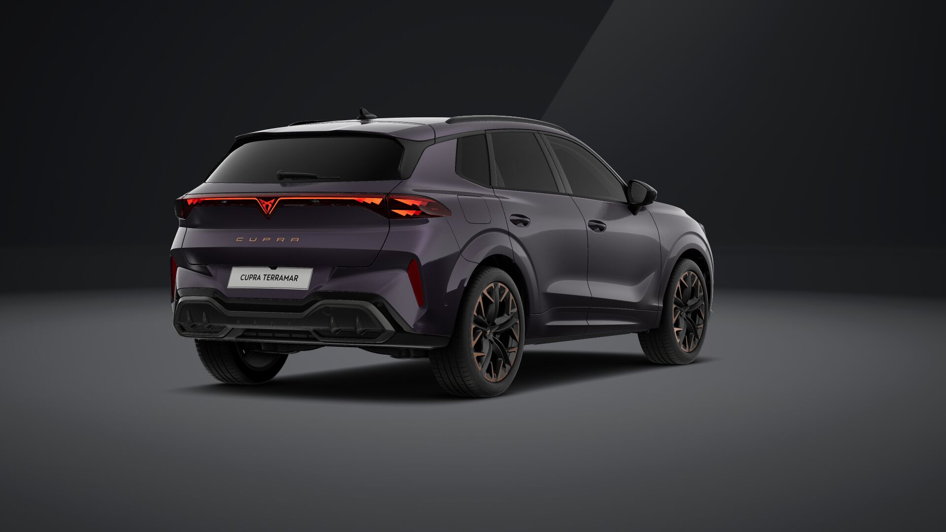 Bild eines Terramar VZ e-HYBRID 272 PS DSG