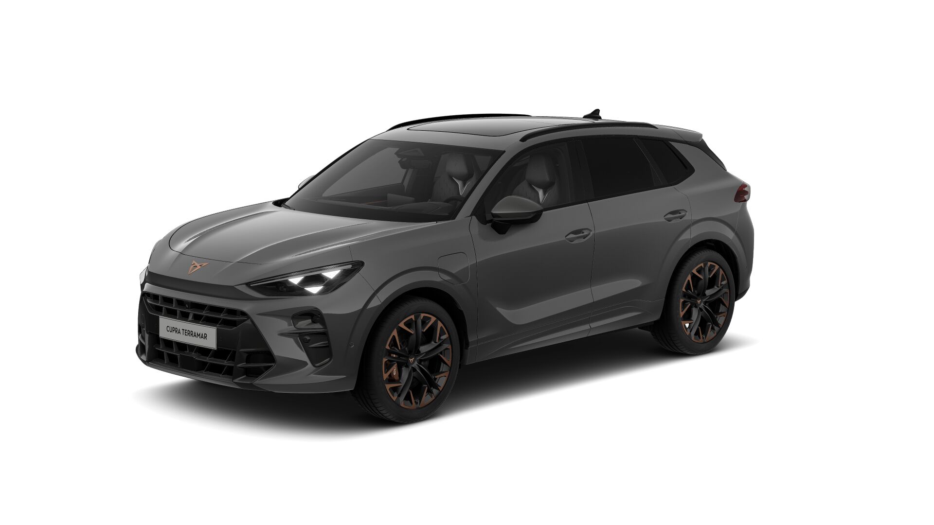 Bild eines Terramar VZ e-HYBRID 272 PS DSG