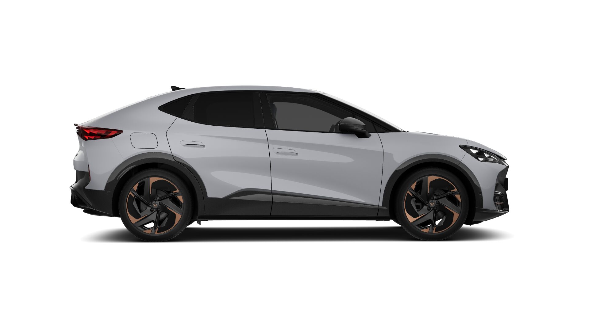 Bild eines Tavascan VZ Adrenaline 4Drive250kW/340PS