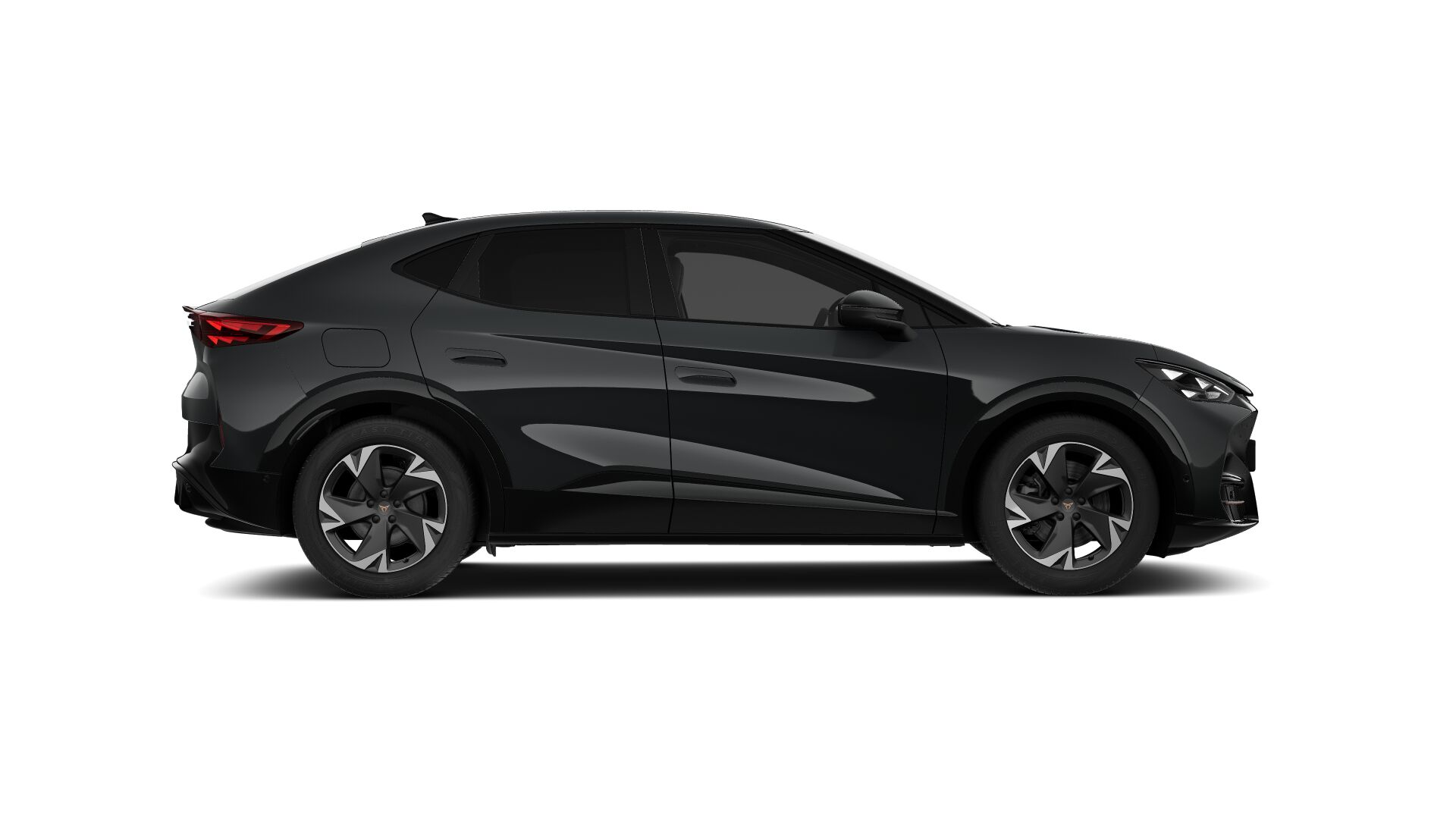 Bild eines Tavascan 210kW/286PS