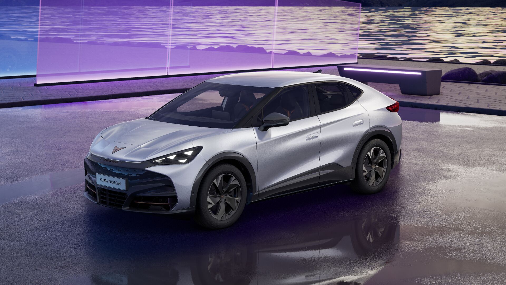 Bild eines Tavascan DEAL 210kW/286PS