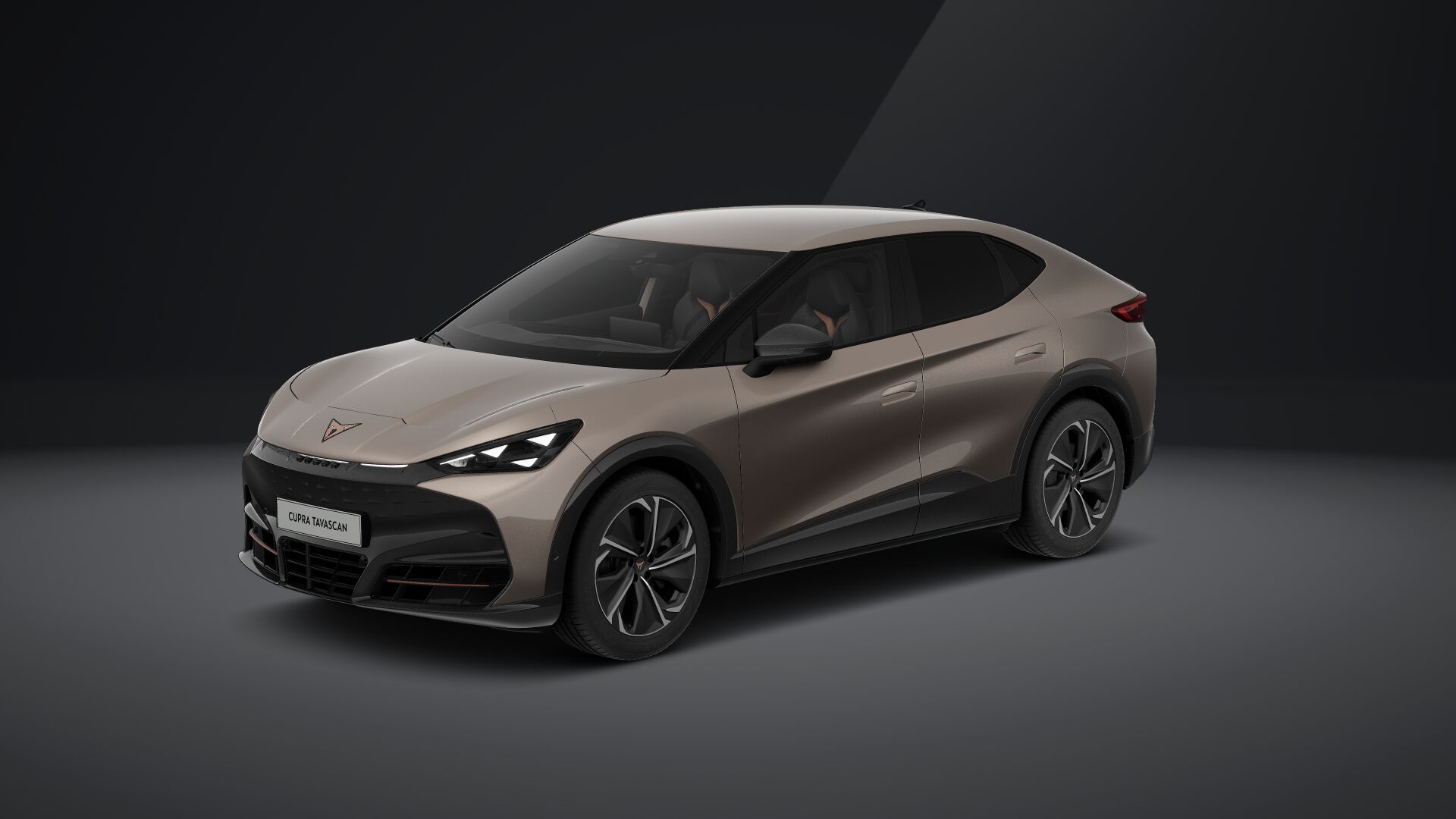 Bild eines Tavascan VZ 4Drive 250kW/340PS