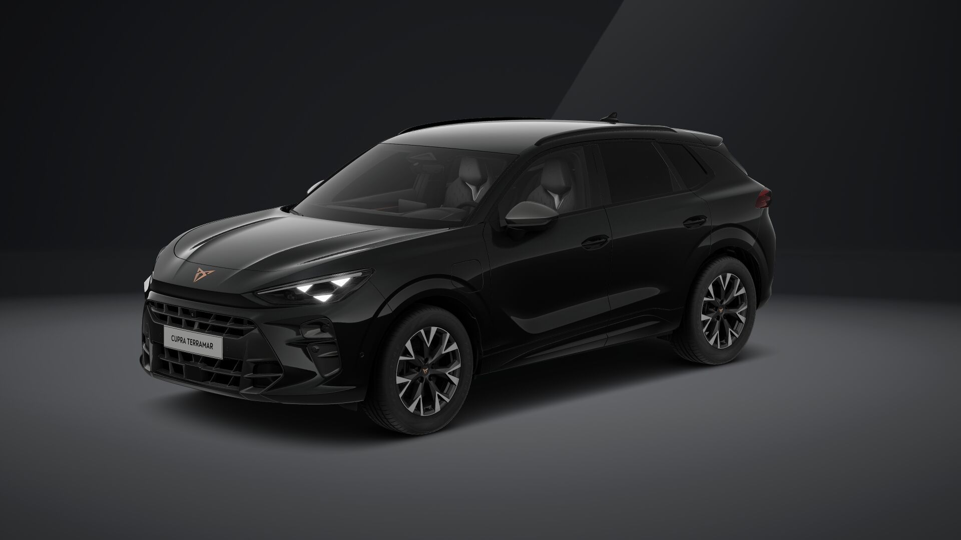 Cupra Terramar e-HYBRID 204 PS DSG 2024