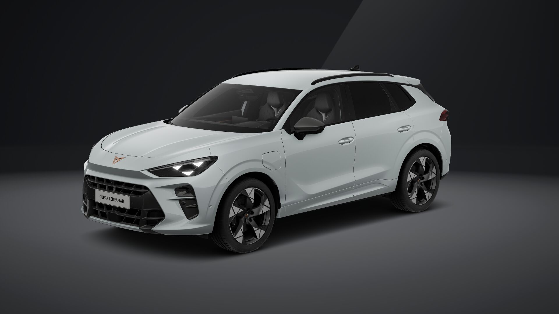 Cupra Terramar e-HYBRID 204 PS DSG 2024