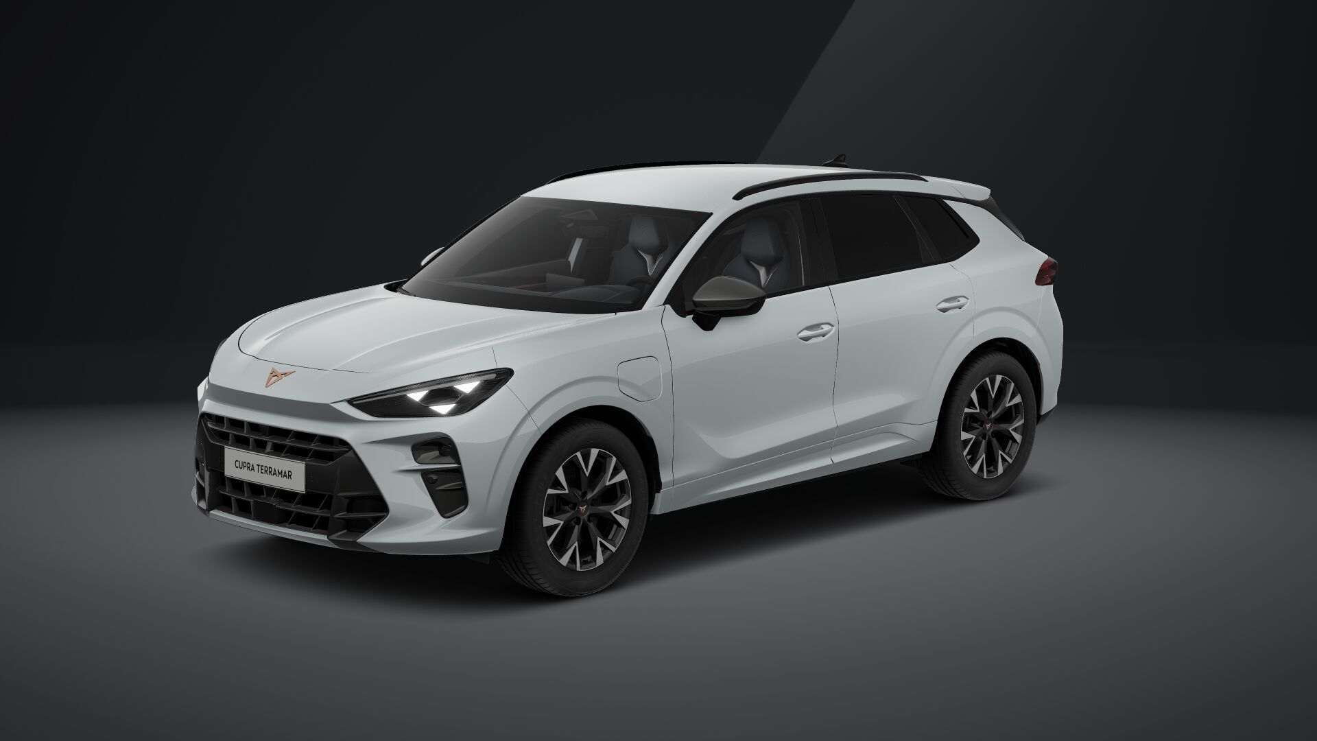 Cupra Terramar e-HYBRID 204 PS DSG 2024