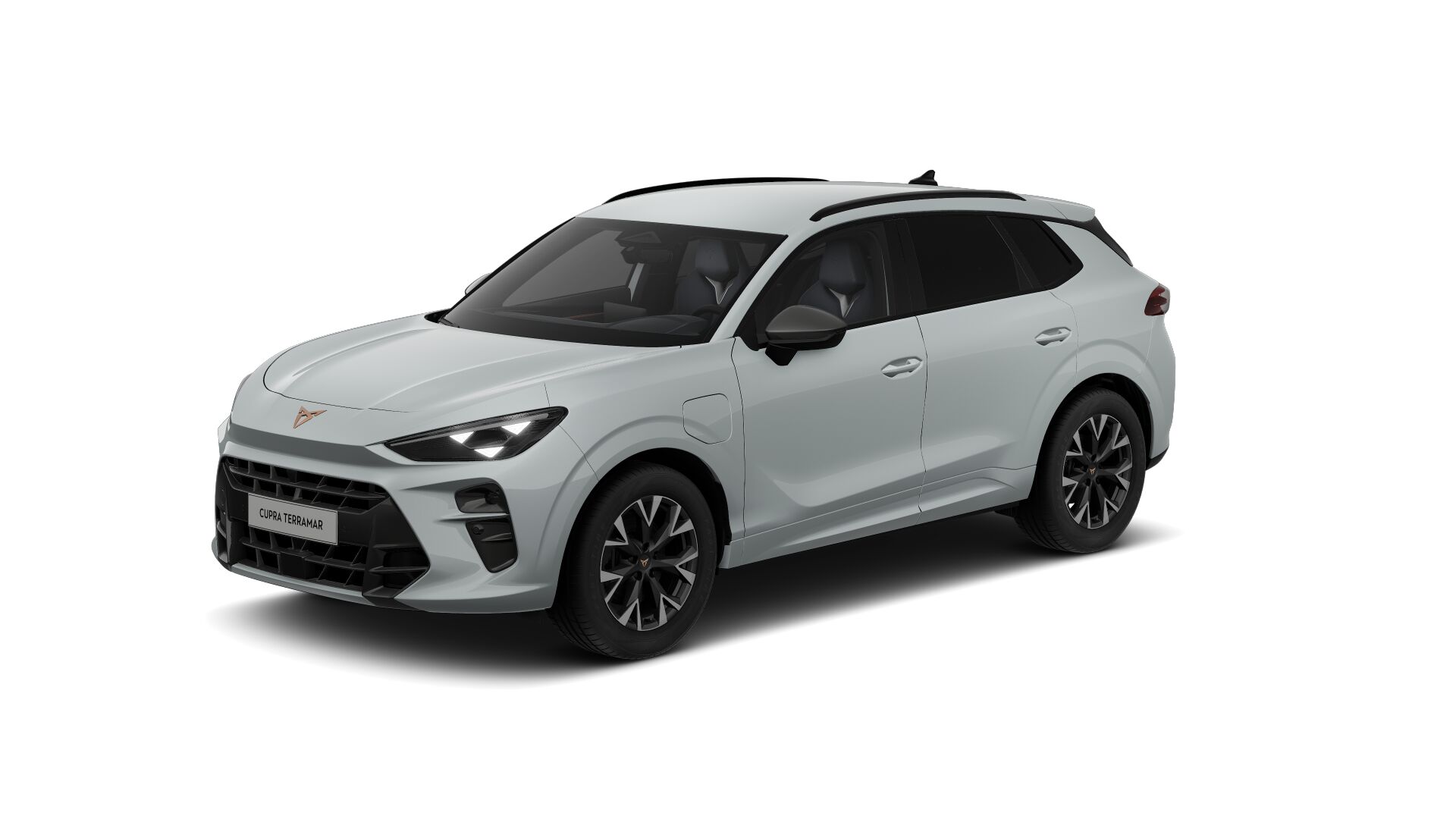 Bild eines Terramar e-HYBRID 204 PS DSG