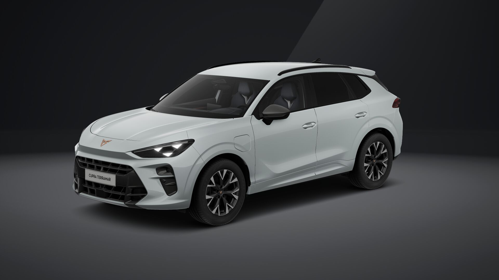 Cupra Terramar e-HYBRID 204 PS DSG 2024