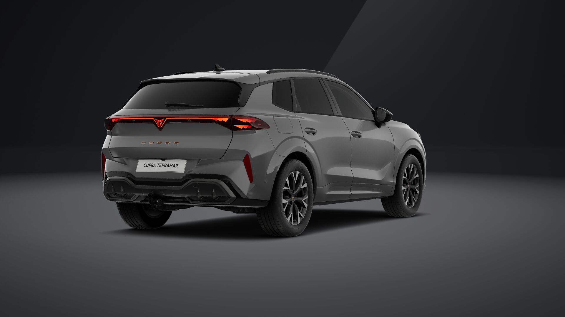 Bild eines Terramar e-HYBRID 204 PS DSG
