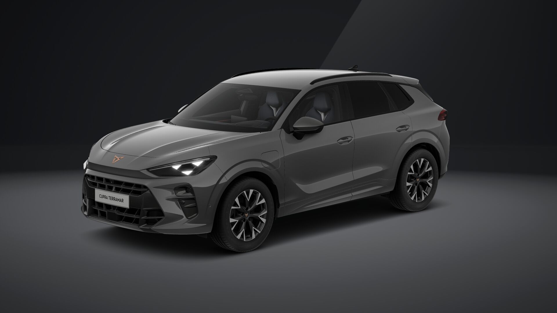 Cupra Terramar e-HYBRID 204 PS DSG 2024