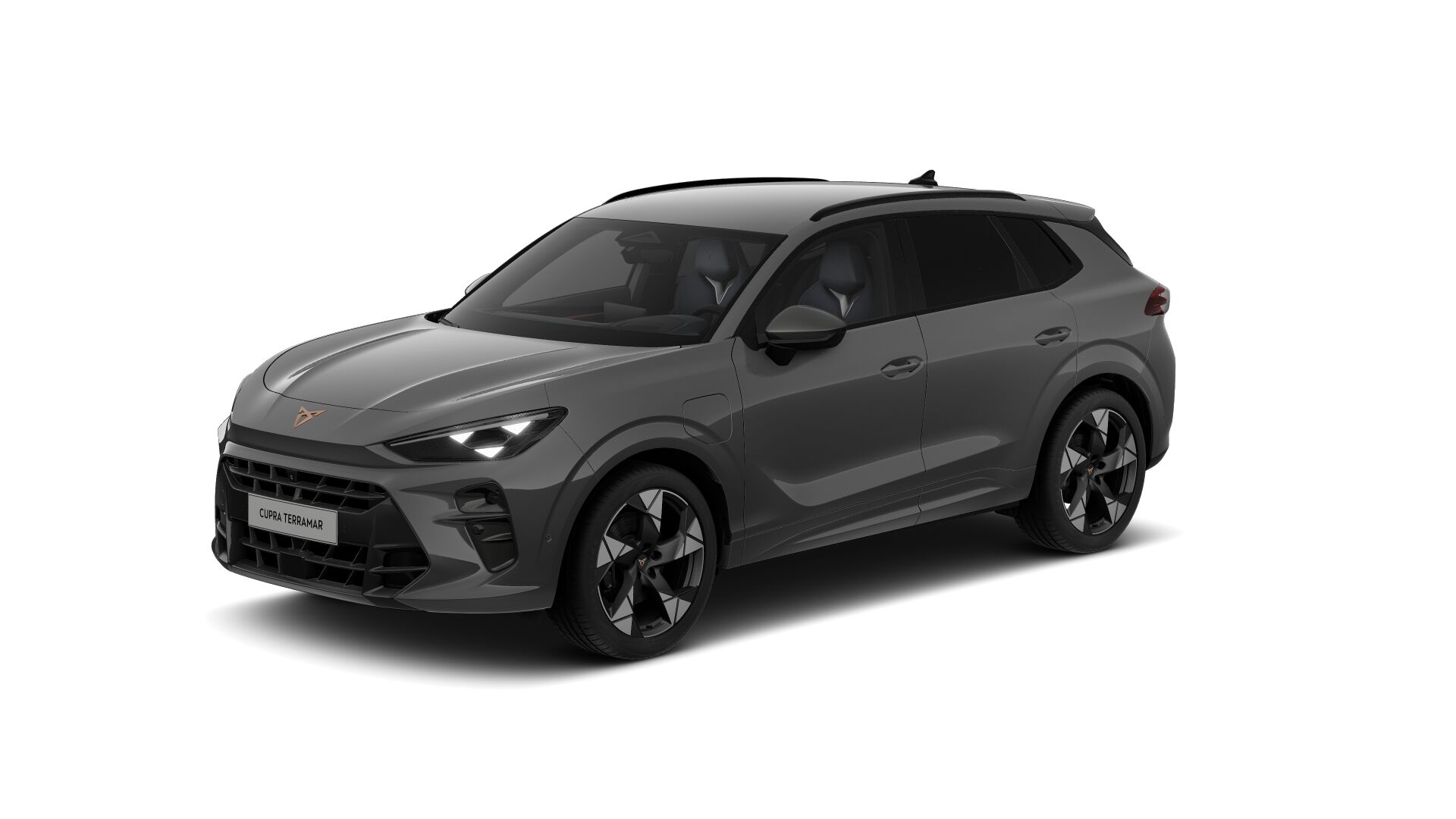 Bild eines Terramar e-HYBRID 204 PS DSG