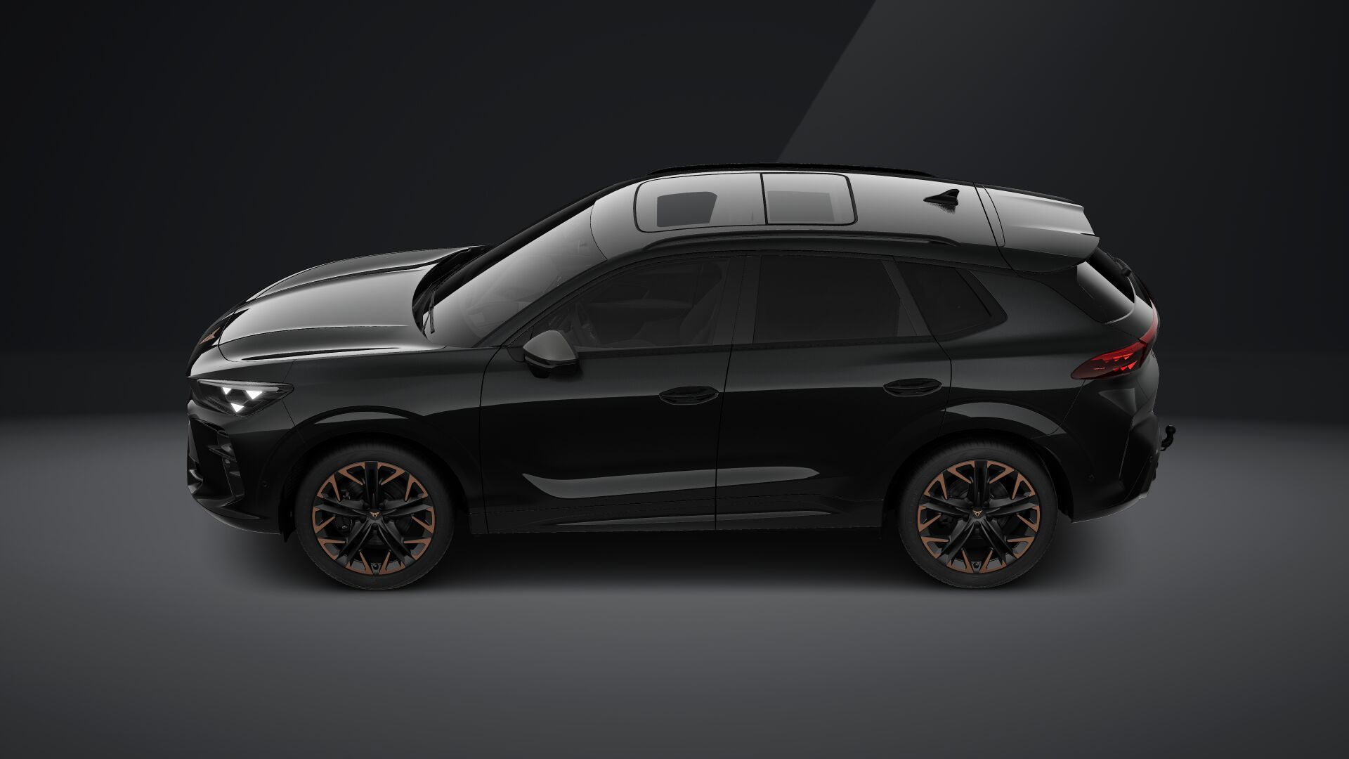 Bild eines Terramar VZ 2.0 TSI 265 PS DSG 4Drive