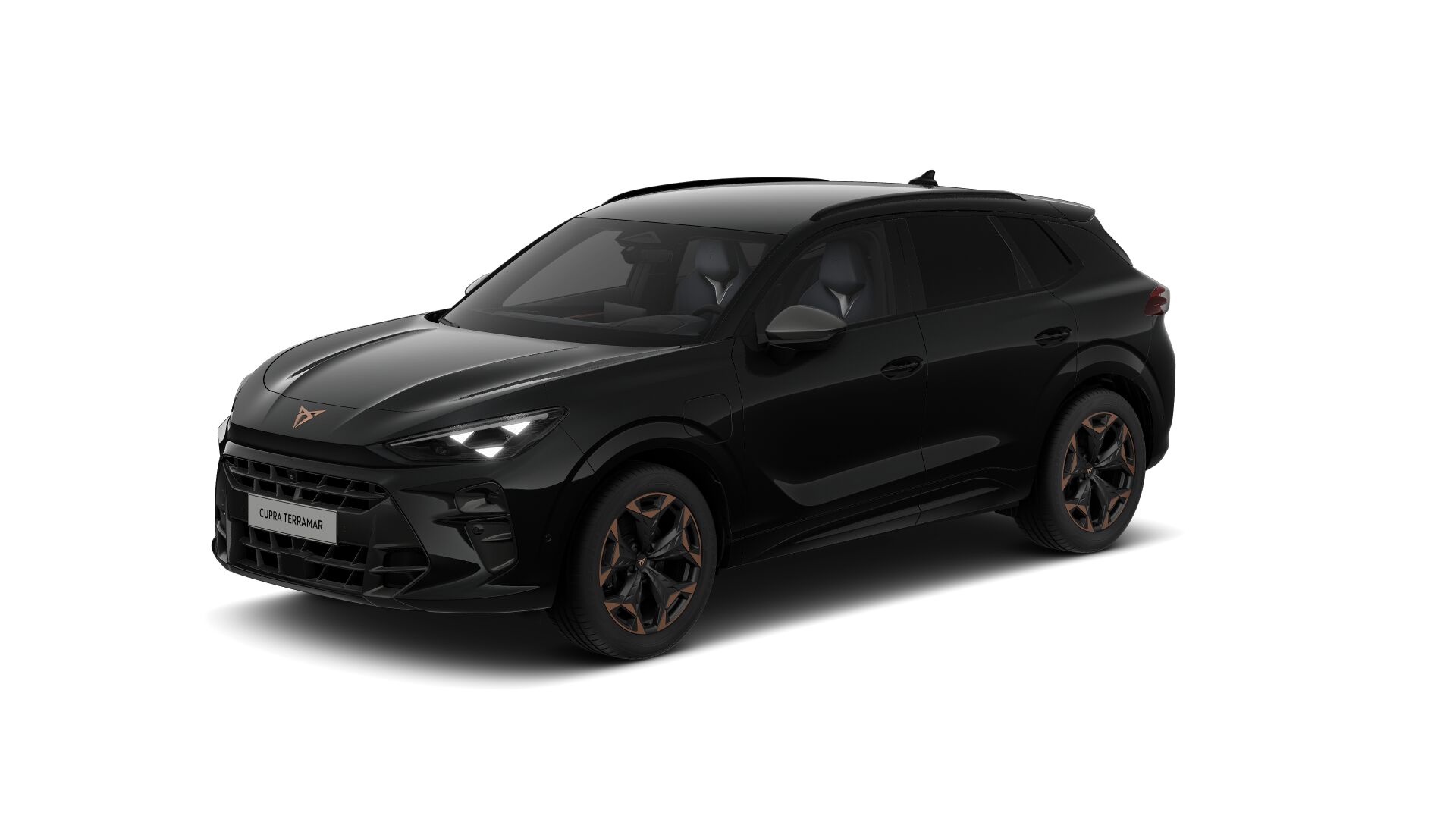Bild eines Terramar VZ e-HYBRID 272 PS DSG