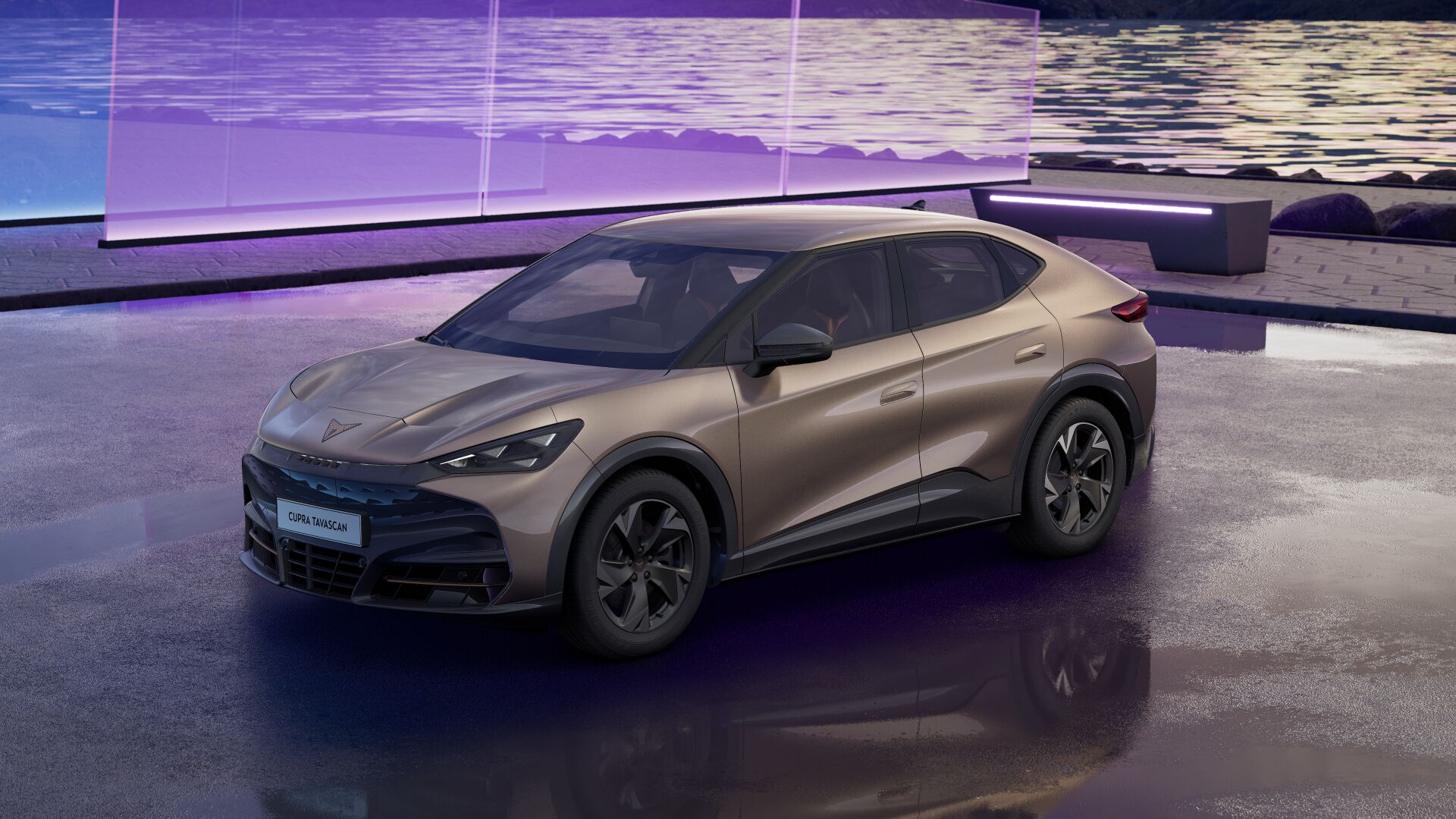 Bild eines Tavascan Base 210kW/286PS