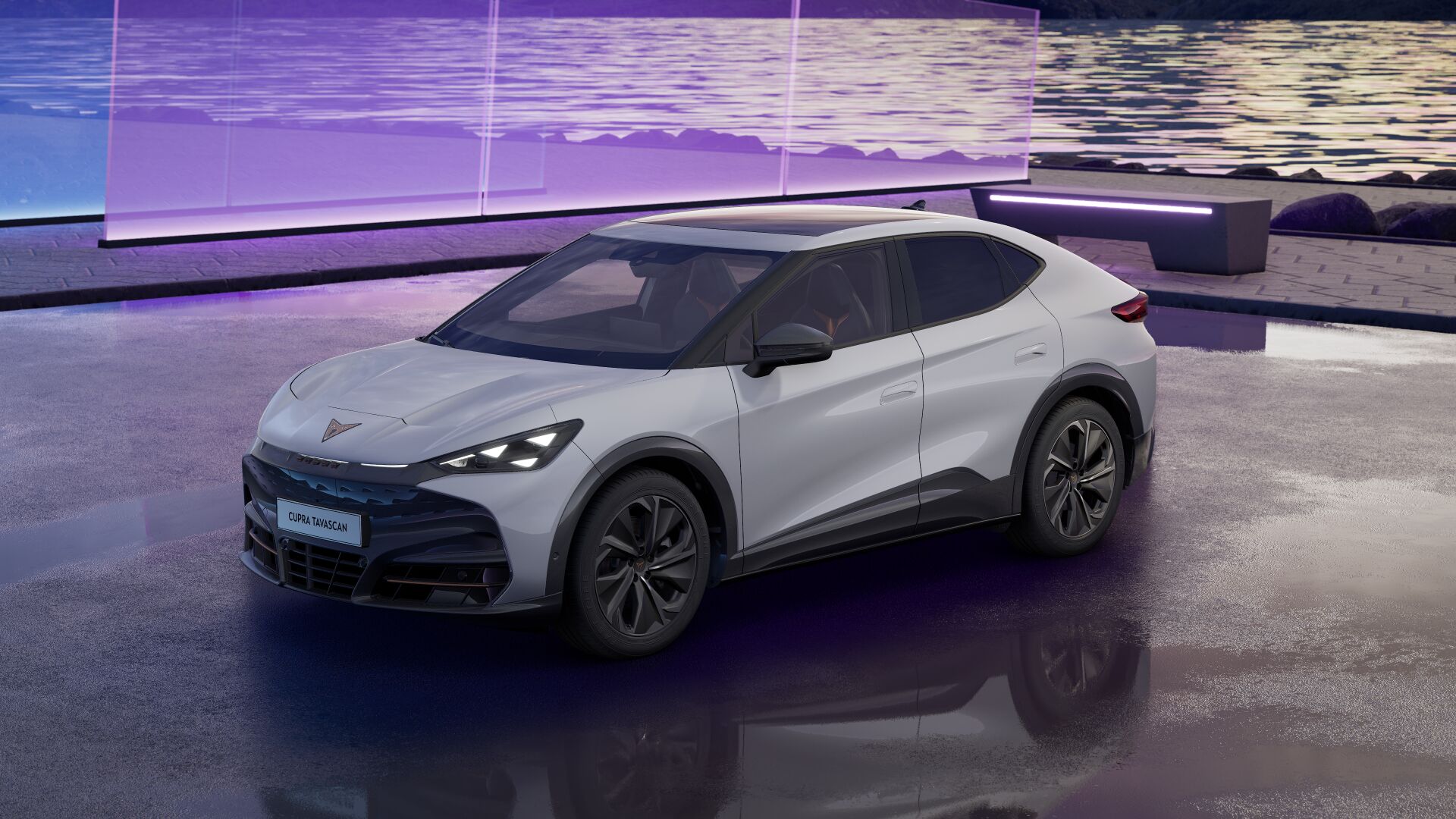 Bild eines Tavascan Adrenaline 210kW/286PS