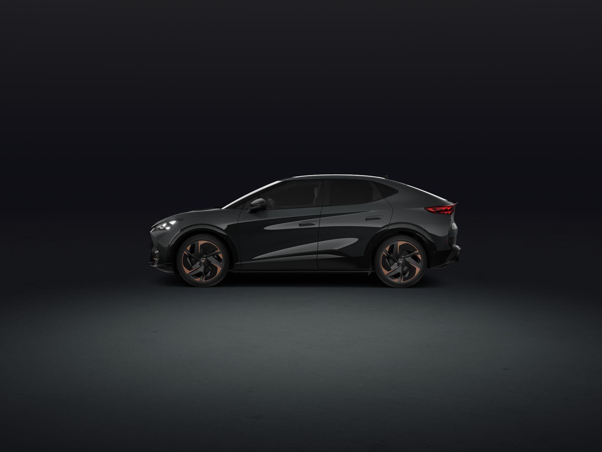 Bild eines Tavascan Extreme 210kW/286PS