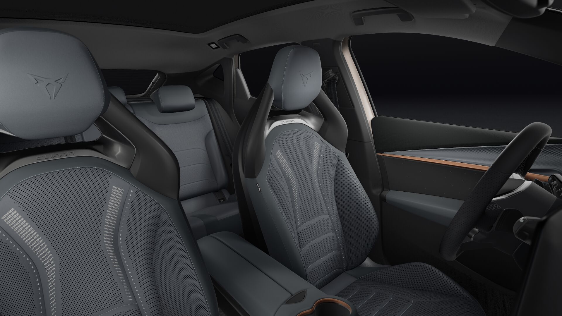 Bild eines Tavascan VZ Extreme 4Drive 250kW/340PS