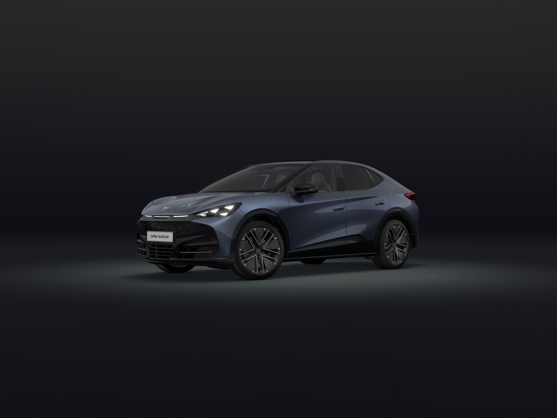 Bild eines Tavascan VZ Extreme 4Drive 250kW/340PS