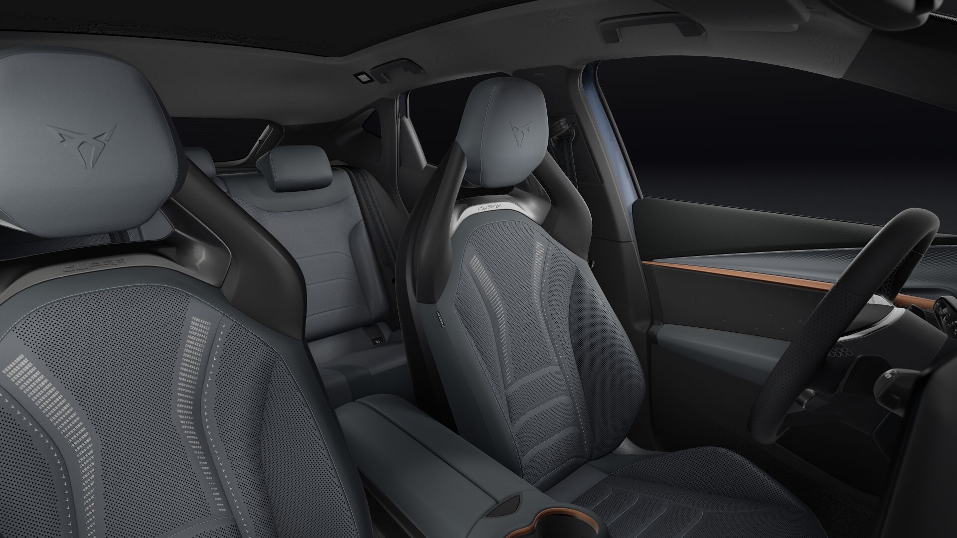 Bild eines Tavascan VZ Extreme 4Drive 250kW/340PS