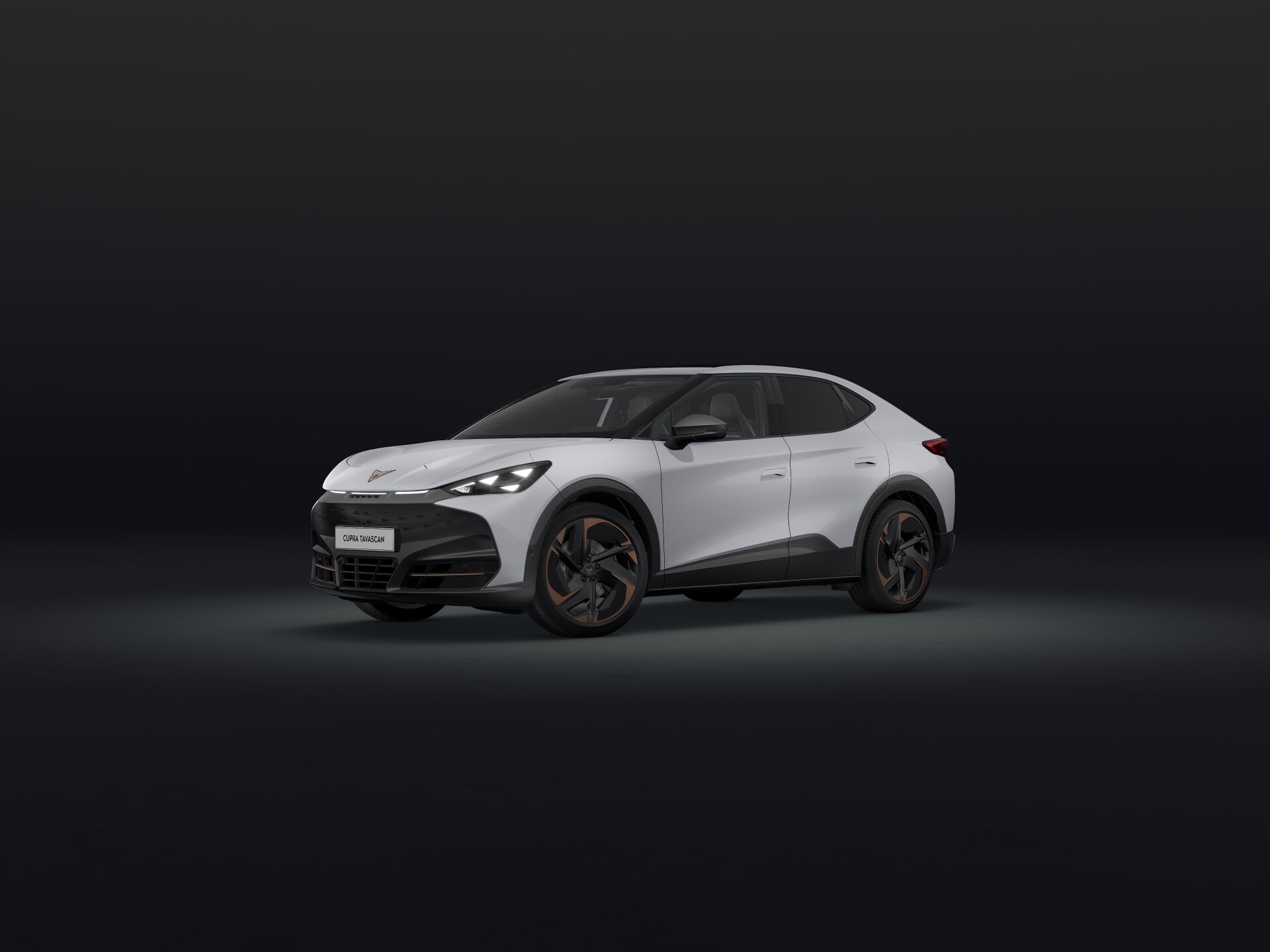 Bild eines Tavascan VZ Extreme 4Drive 250kW/340PS