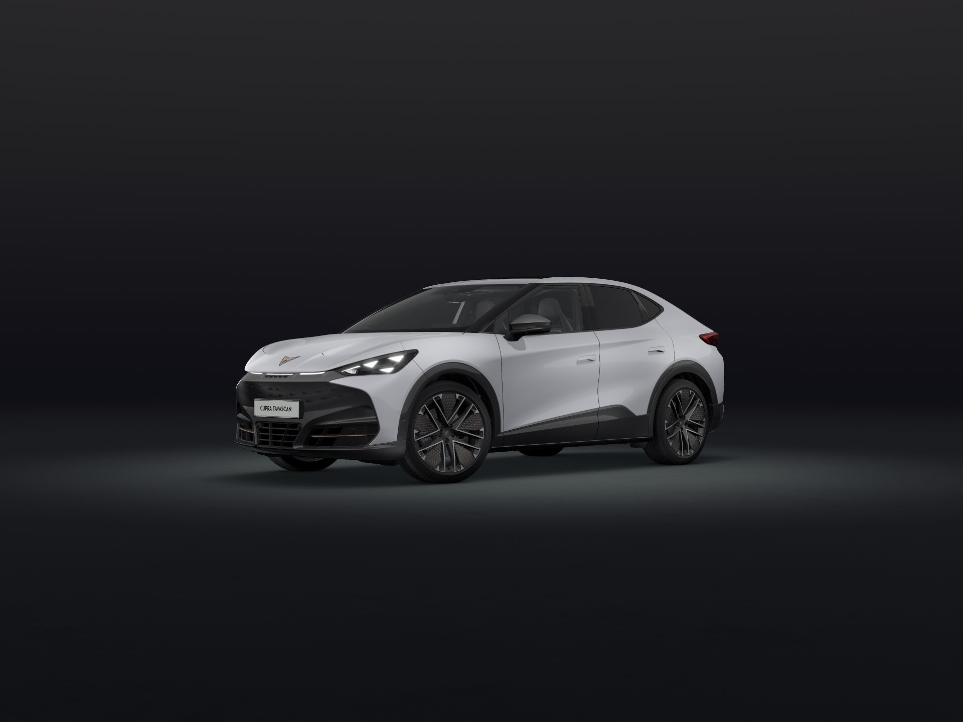 Bild eines Tavascan VZ Extreme 4Drive 250kW/340PS