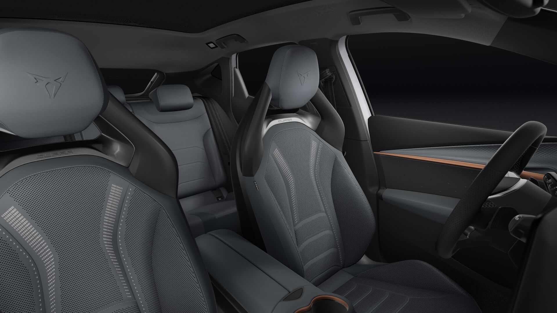 Bild eines Tavascan VZ Extreme 4Drive 250kW/340PS