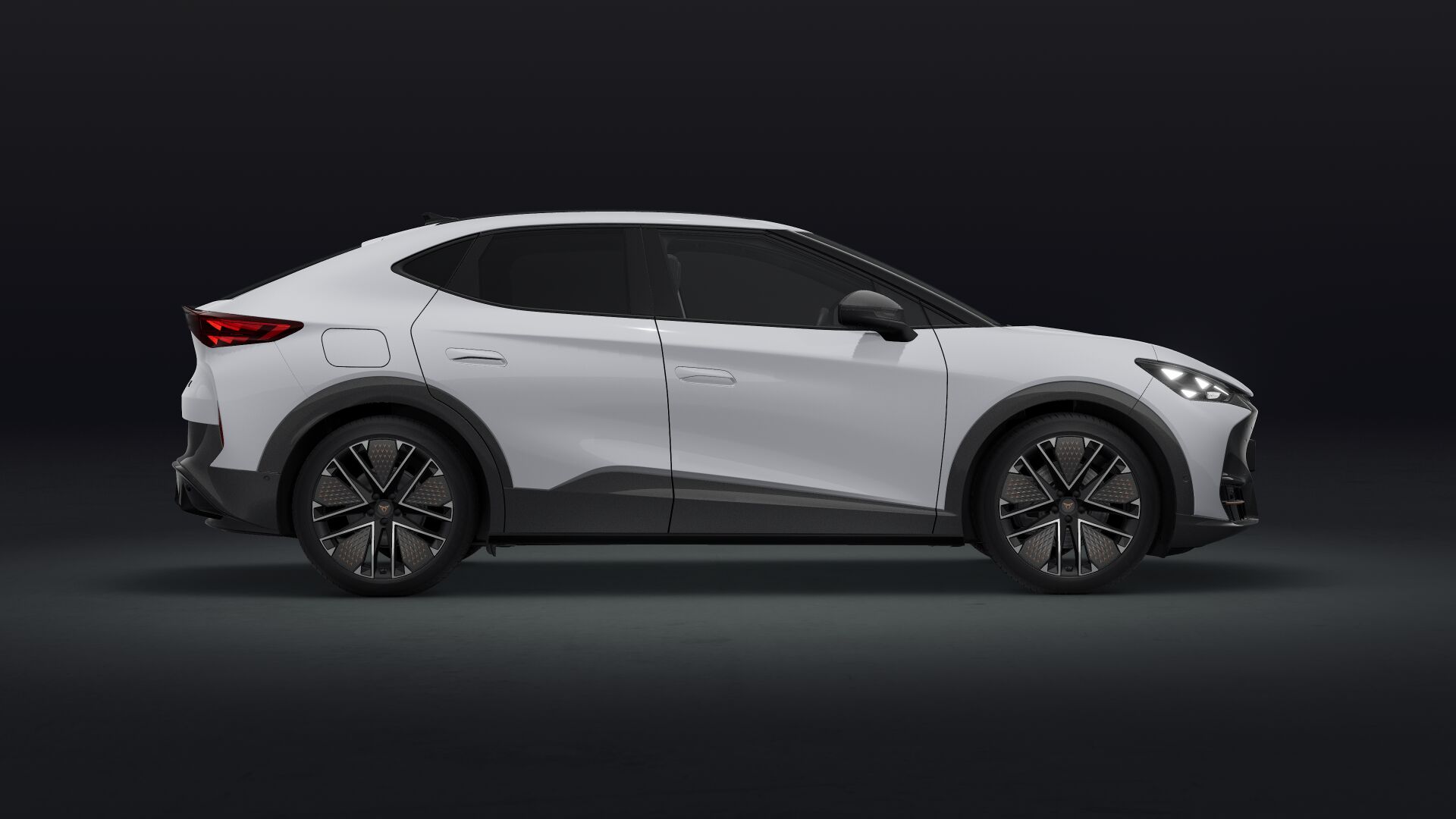 Bild eines Tavascan VZ Extreme 4Drive 250kW/340PS