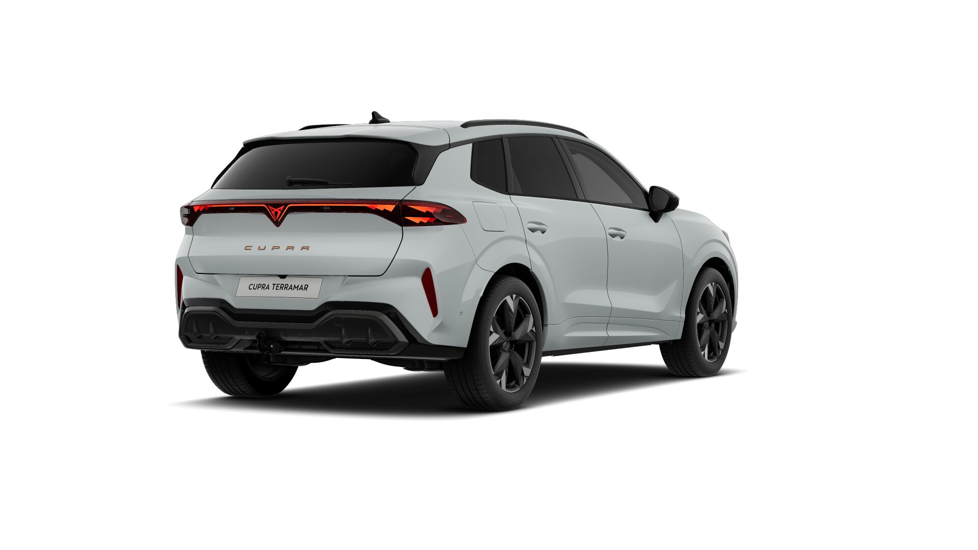 Bild eines Terramar 2.0 TSI 204 PS DSG 4Drive