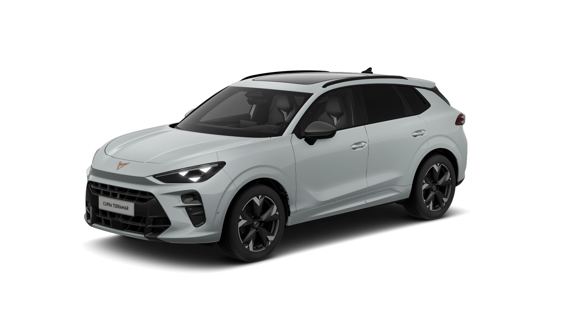 Bild eines Terramar 2.0 TSI 204 PS DSG 4Drive
