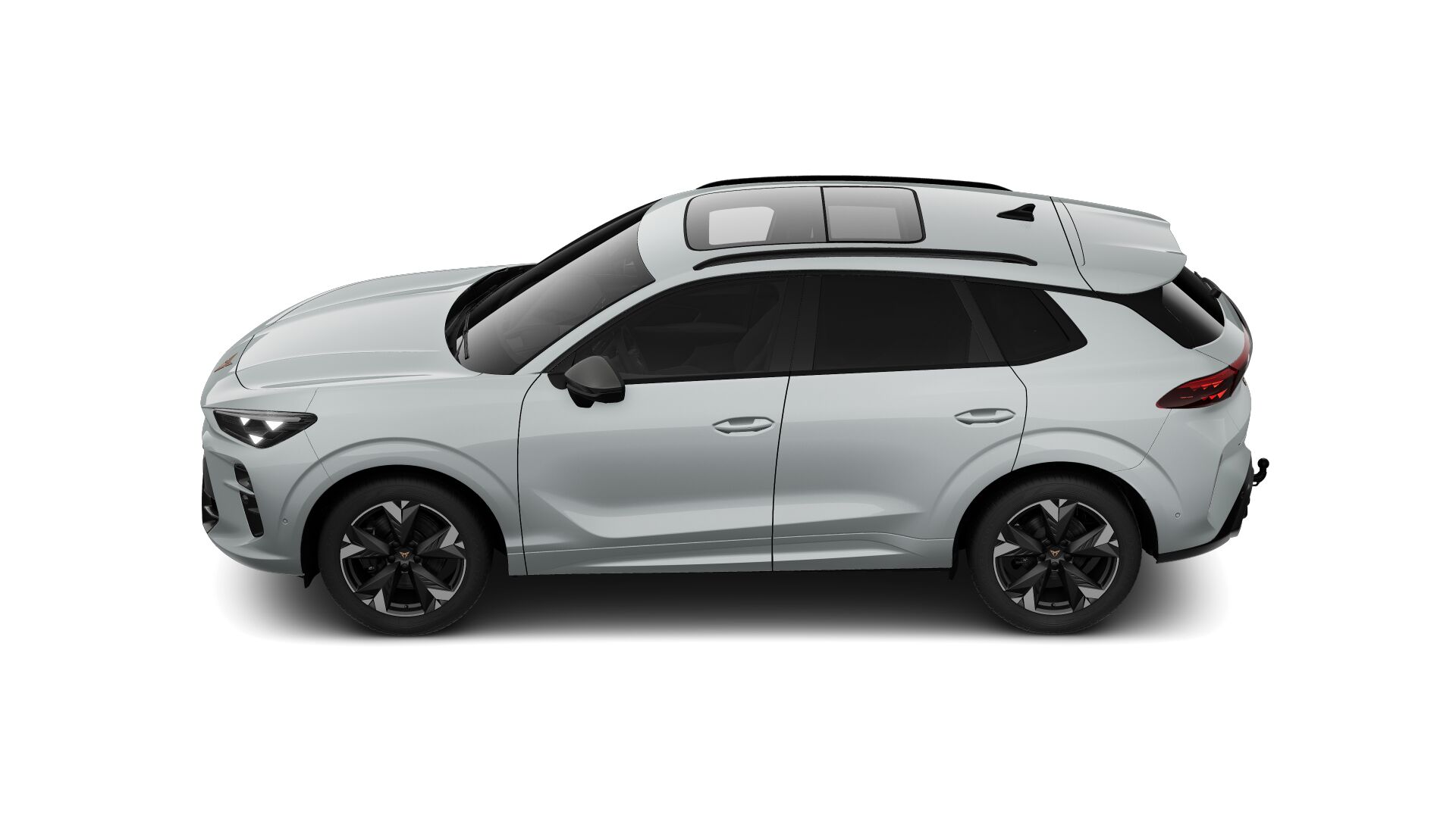 Bild eines Terramar 2.0 TSI 204 PS DSG 4Drive