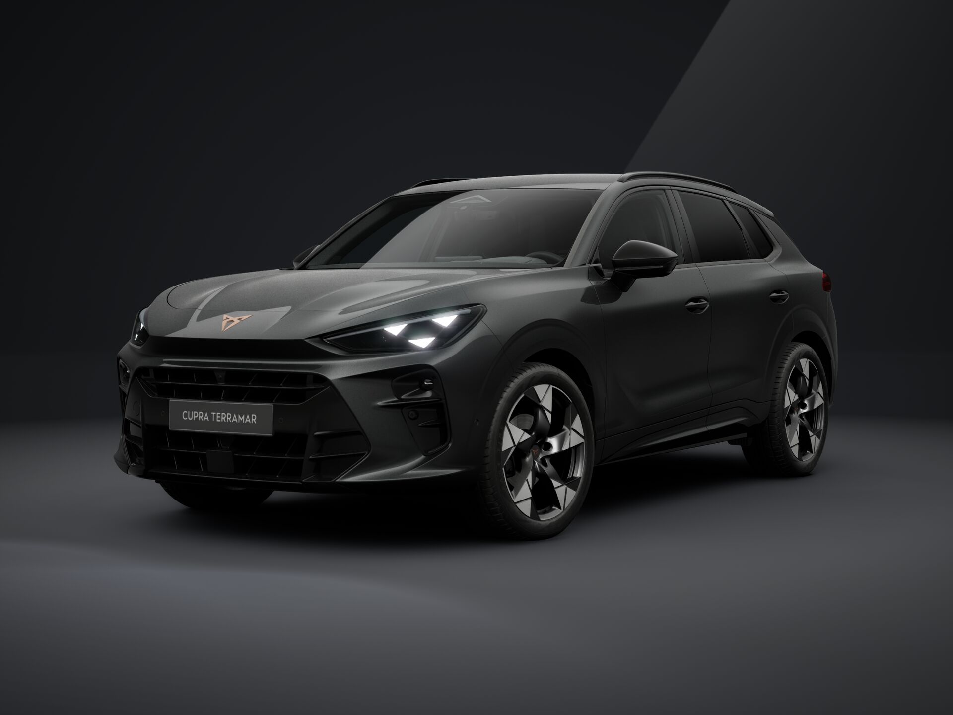 Bild eines Terramar 1.5 e-TSI 150 PS DSG