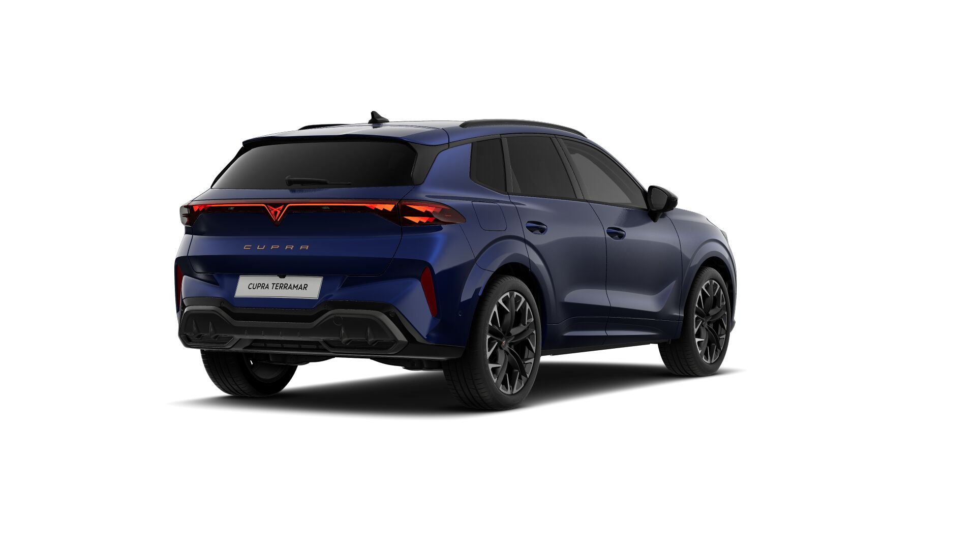 Bild eines Terramar 2.0 TSI 204 PS DSG 4Drive