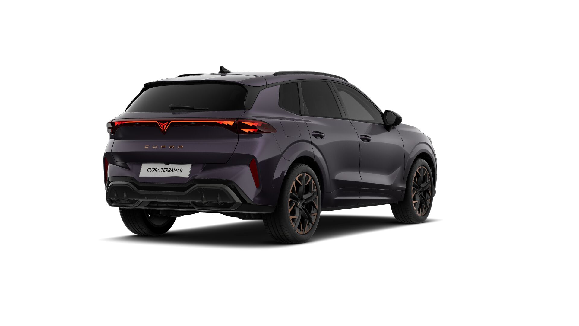 Bild eines Terramar 2.0 TSI 204 PS DSG 4Drive