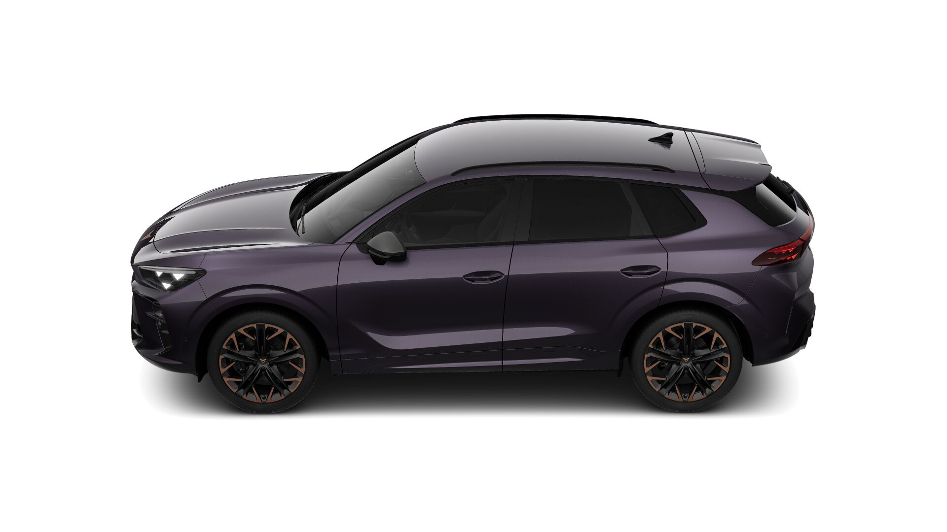 Bild eines Terramar 2.0 TSI 204 PS DSG 4Drive