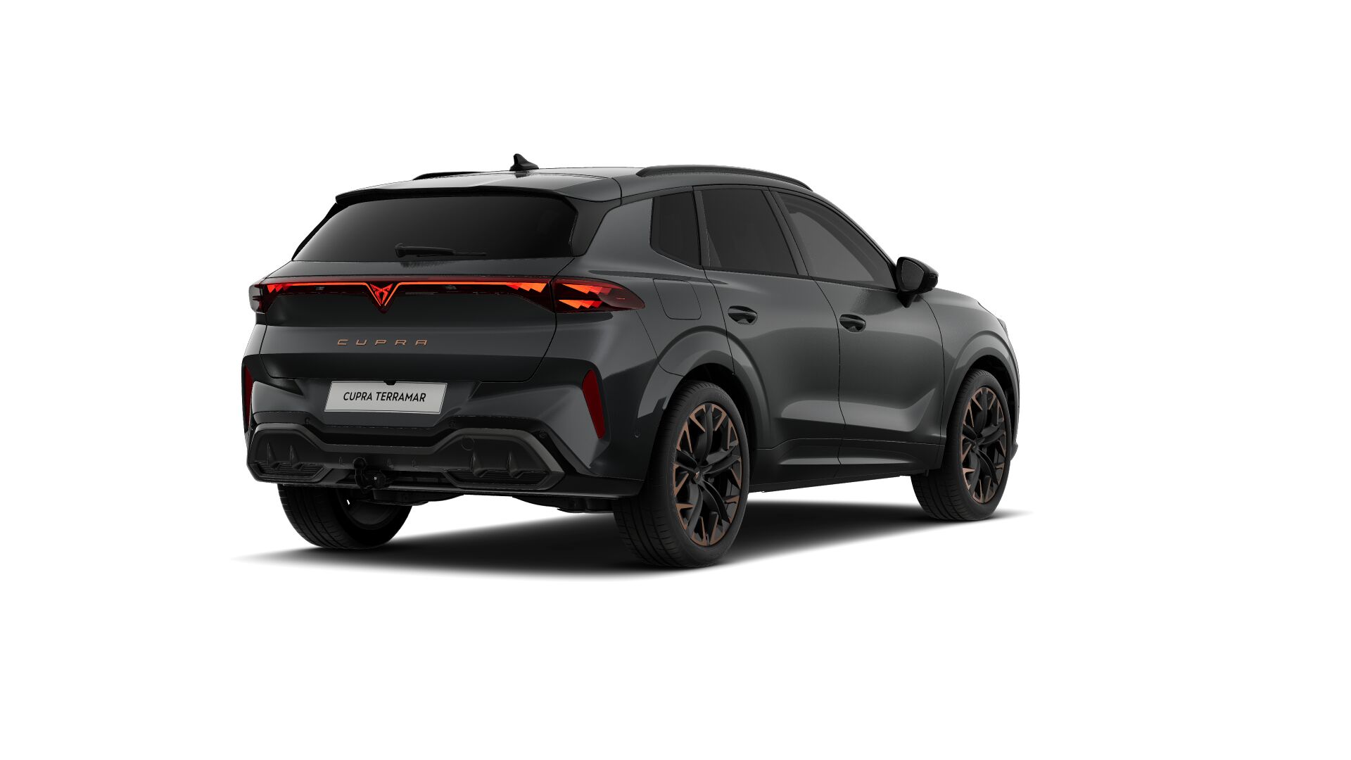 Bild eines Terramar VZ 2.0 TSI 265 PS DSG 4Drive