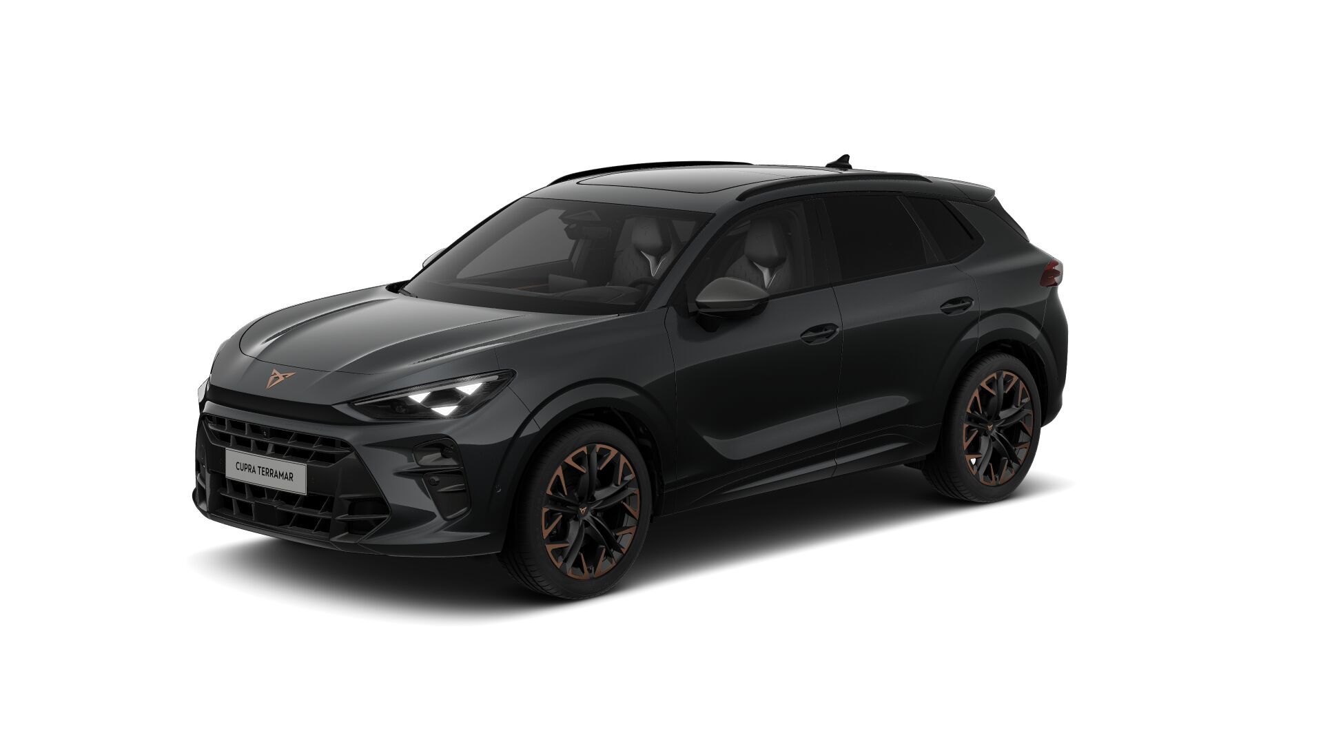 Bild eines Terramar VZ 2.0 TSI 265 PS DSG 4Drive