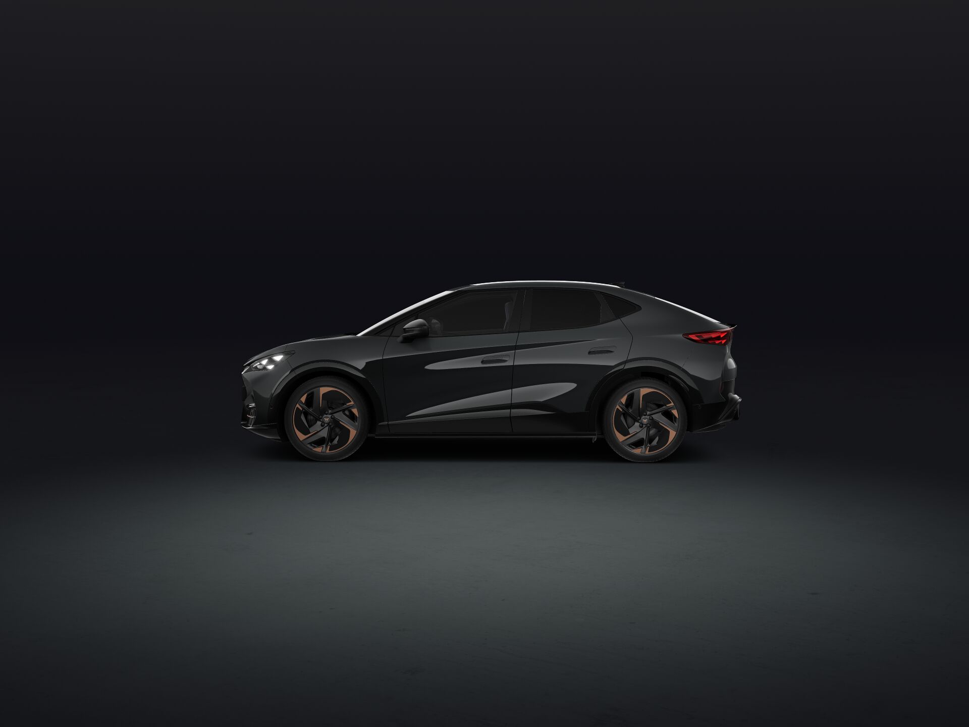 Bild eines Tavascan Adrenaline 210kW/286PS