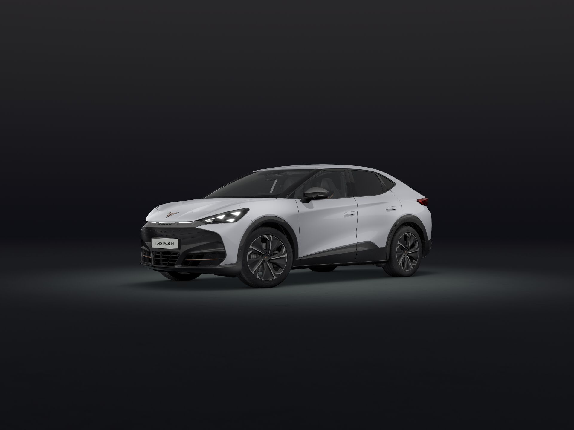 Bild eines Tavascan VZ 4Drive 250kW/340PS