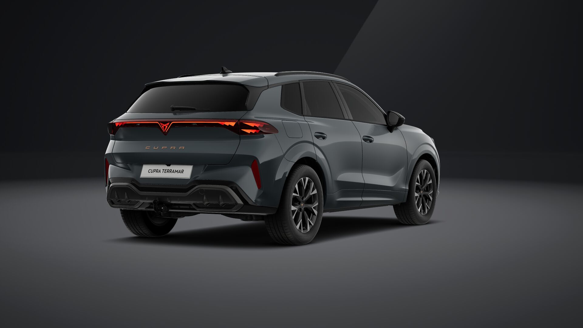 Bild eines Terramar e-HYBRID 204 PS DSG