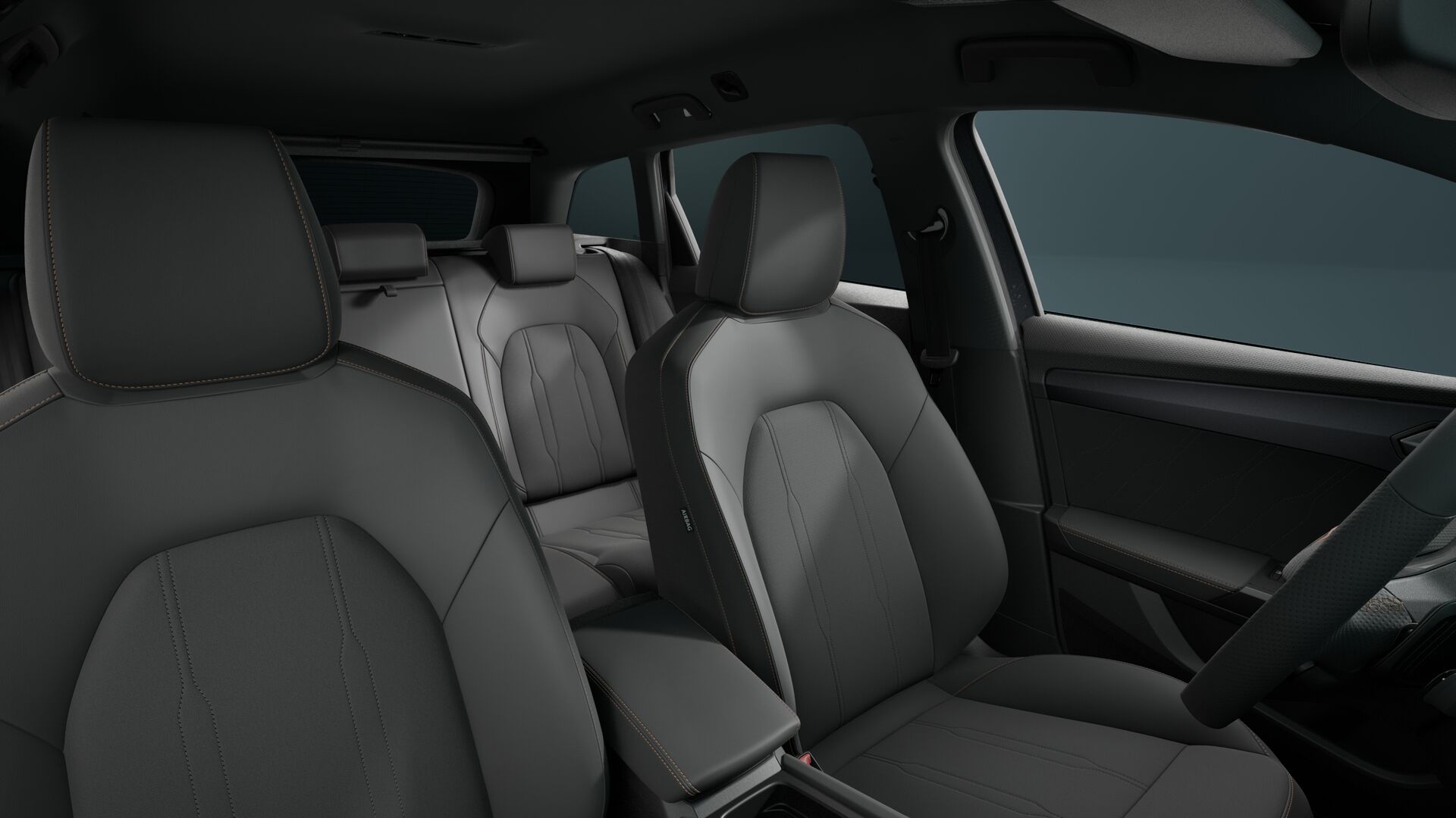 Bild eines Leon SP Kombi 2.0 TDI DSG