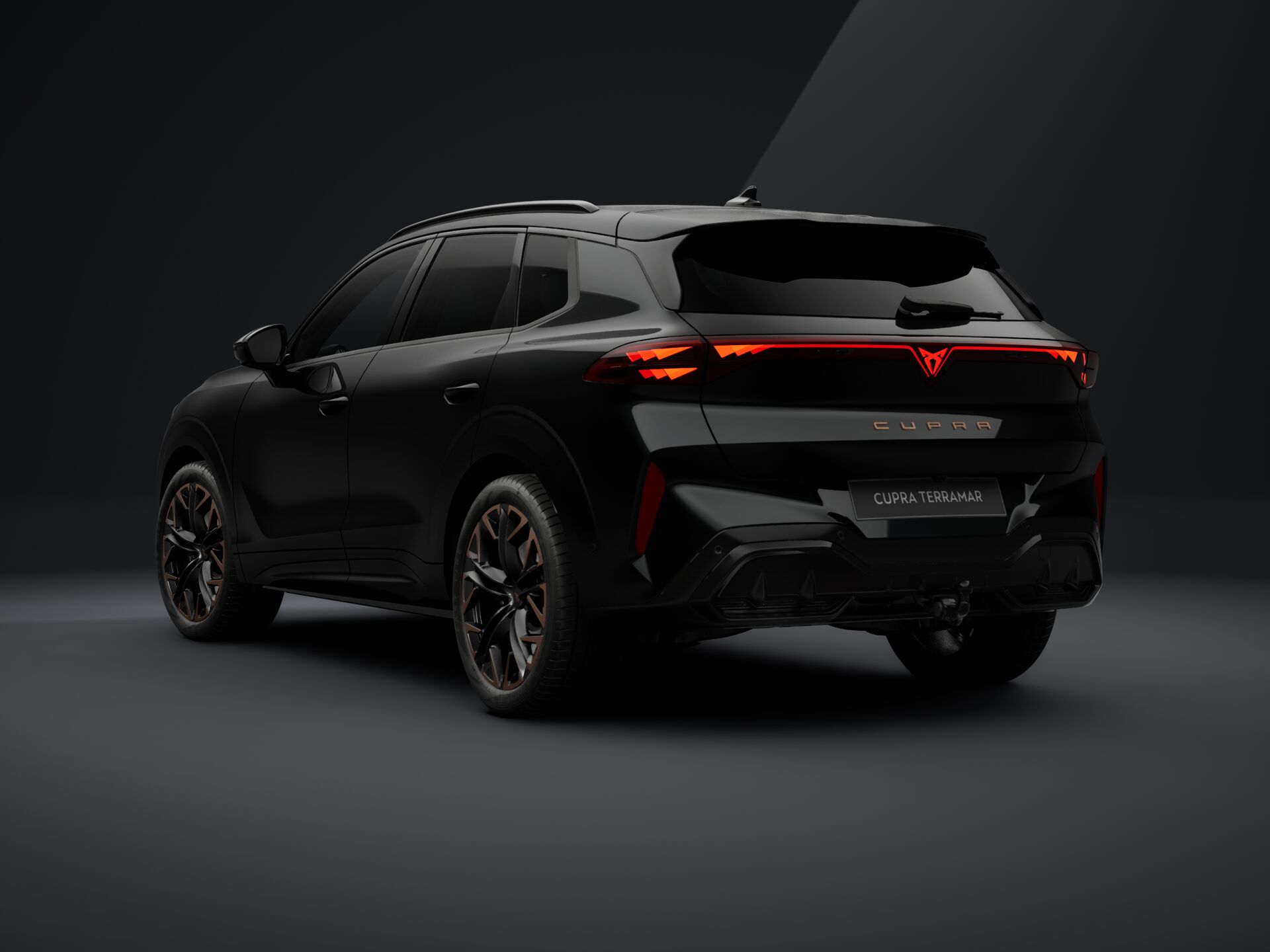 Bild eines Terramar 2.0 TSI 204 PS DSG 4Drive