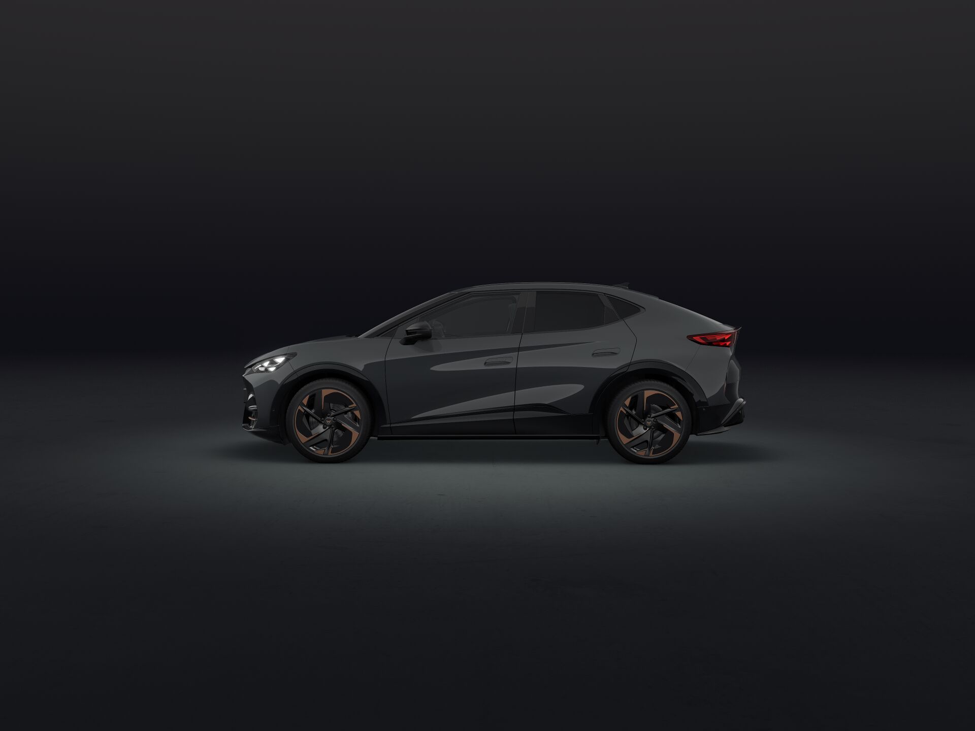 Bild eines Tavascan VZ Adrenaline 4Drive250kW/340PS