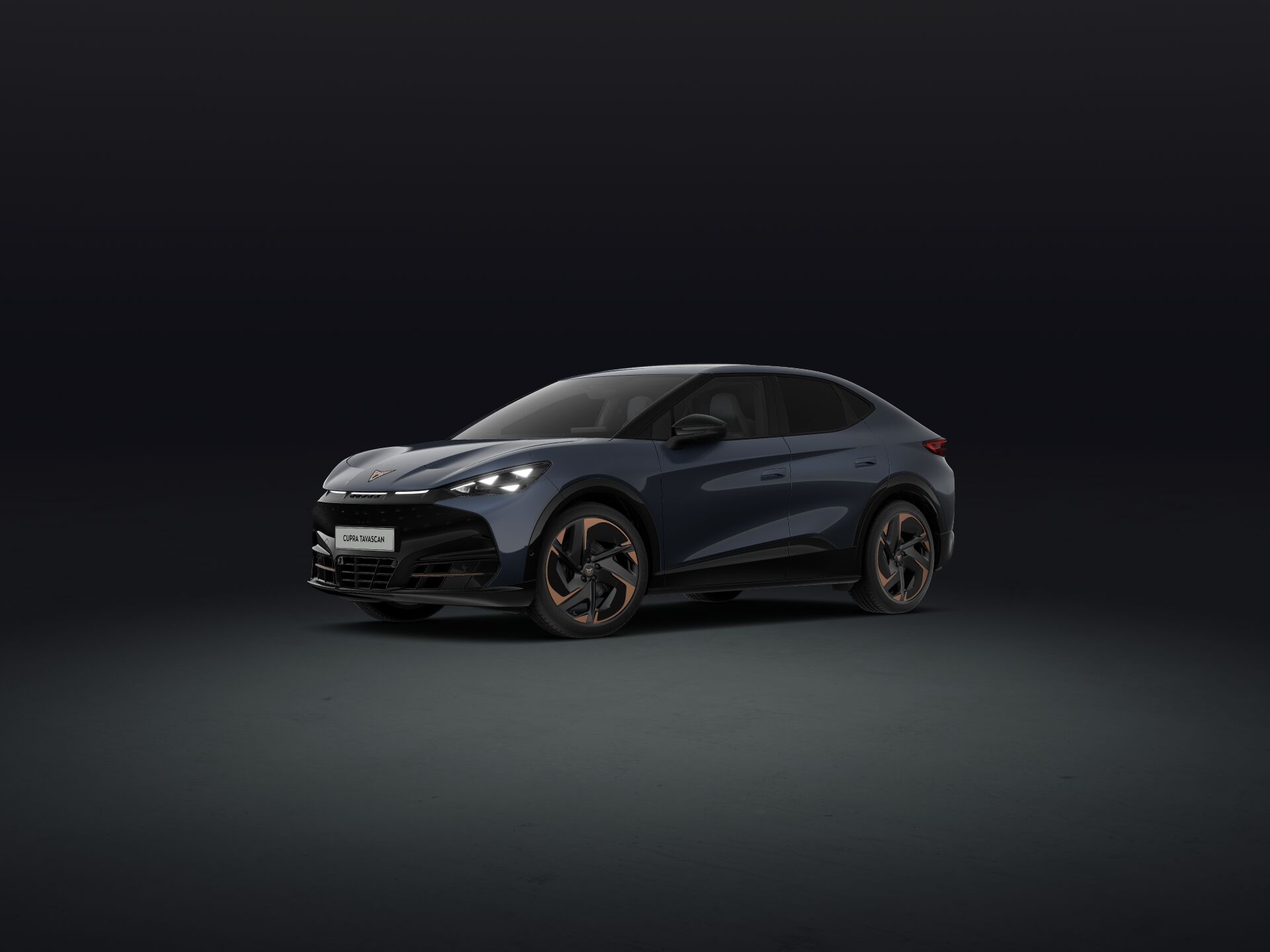 Bild eines Tavascan VZ Extreme 4Drive 250kW/340PS