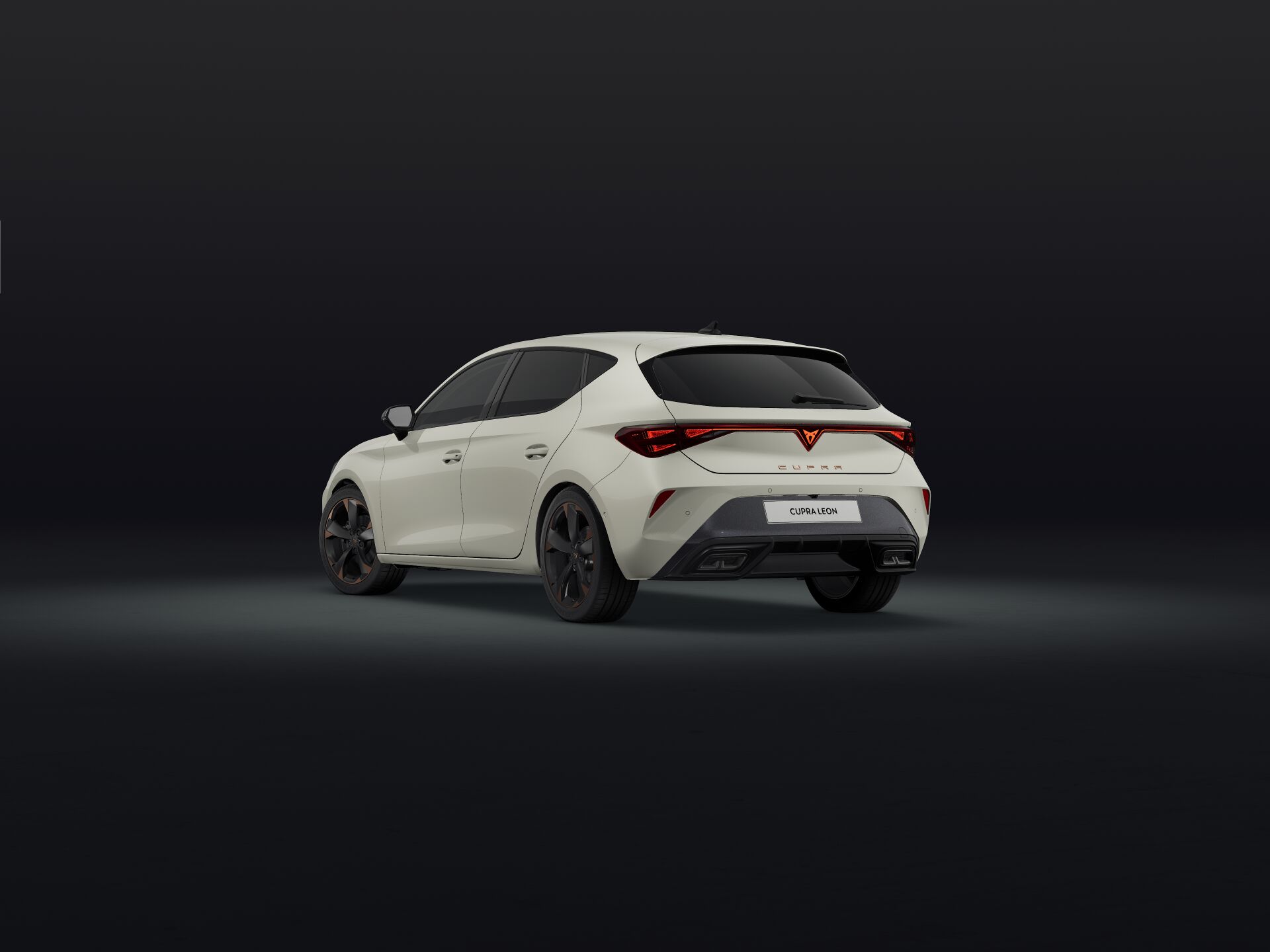 Bild eines Leon 2.0 TDI DSG