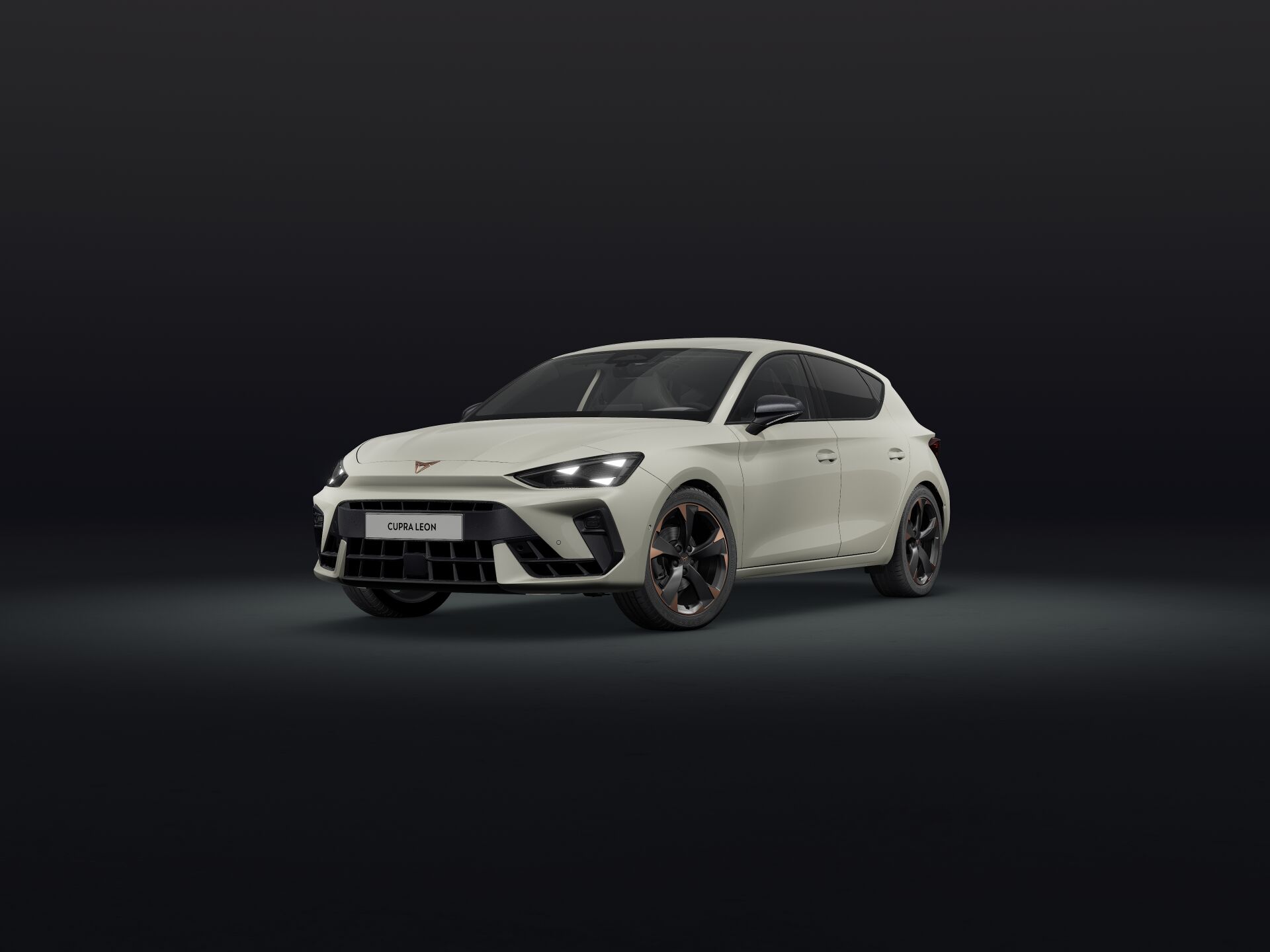 Bild eines Leon 2.0 TDI DSG