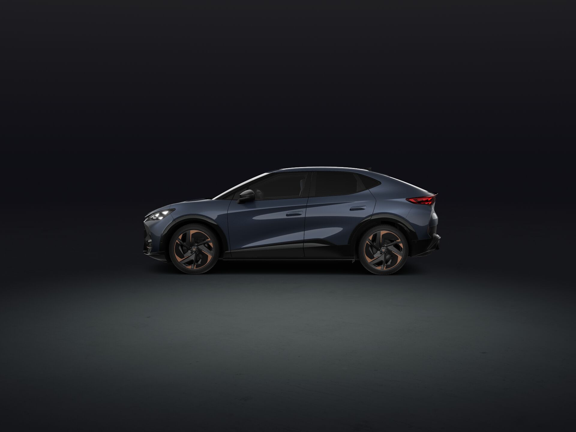 Bild eines Tavascan Adrenaline 210kW/286PS