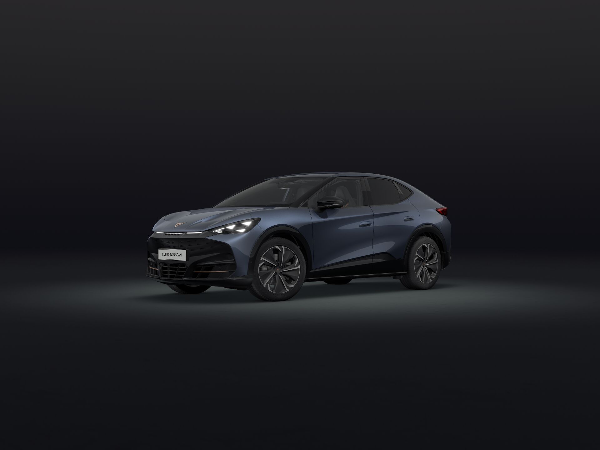 Bild eines Tavascan VZ 4Drive 250kW/340PS