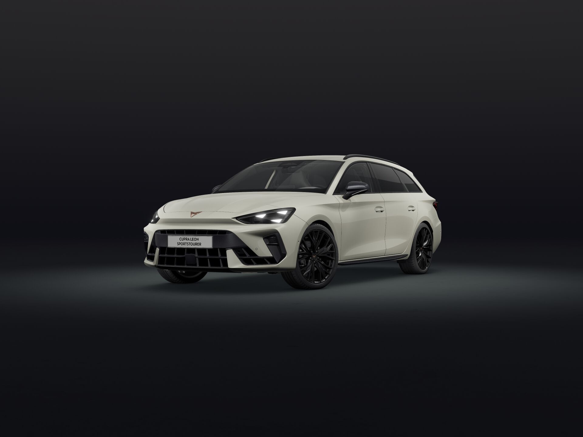 Bild eines Leon SP Kombi 2.0 TSI DSG 4Drive