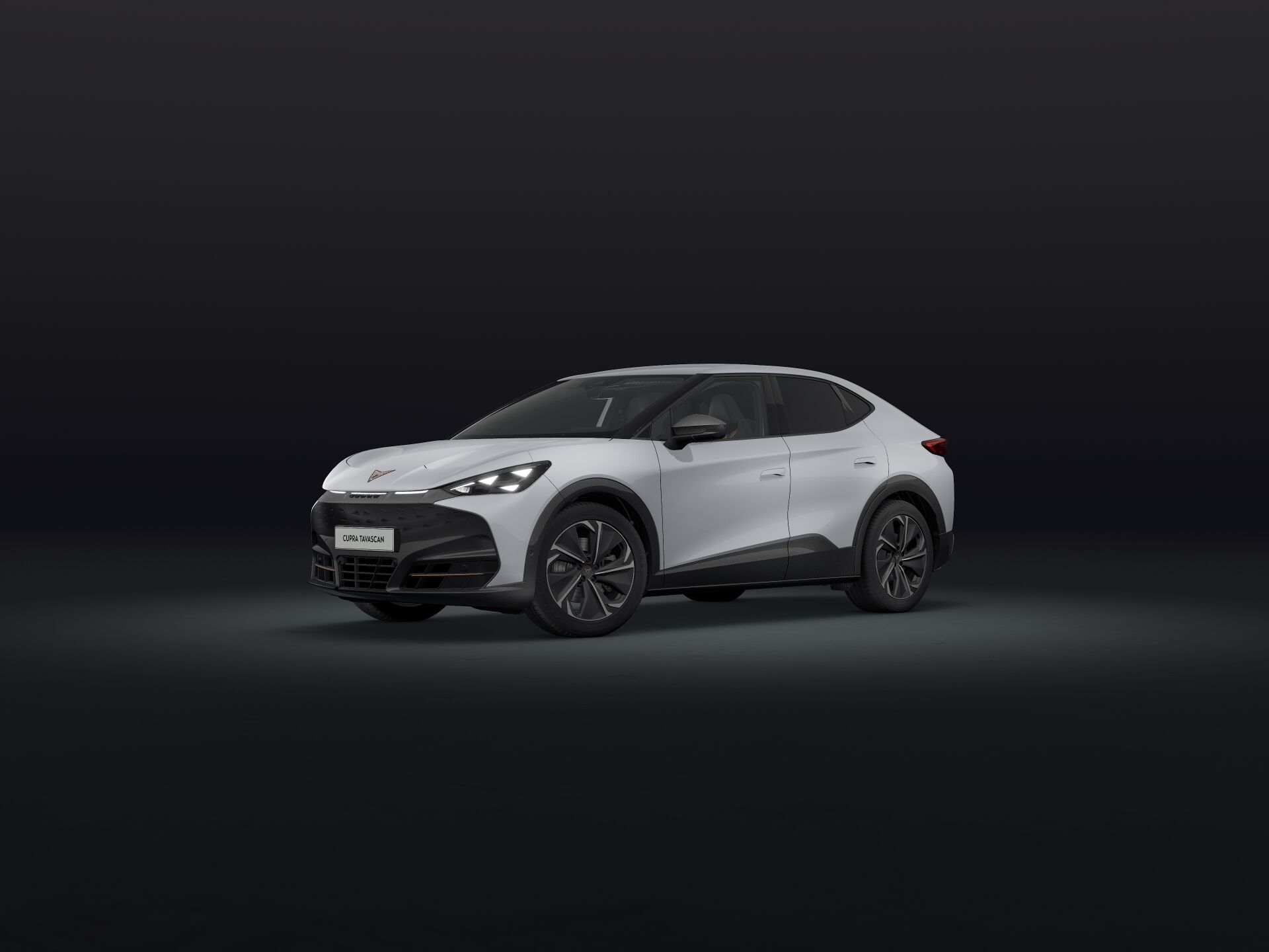 Bild eines Tavascan VZ 4Drive 250kW/340PS