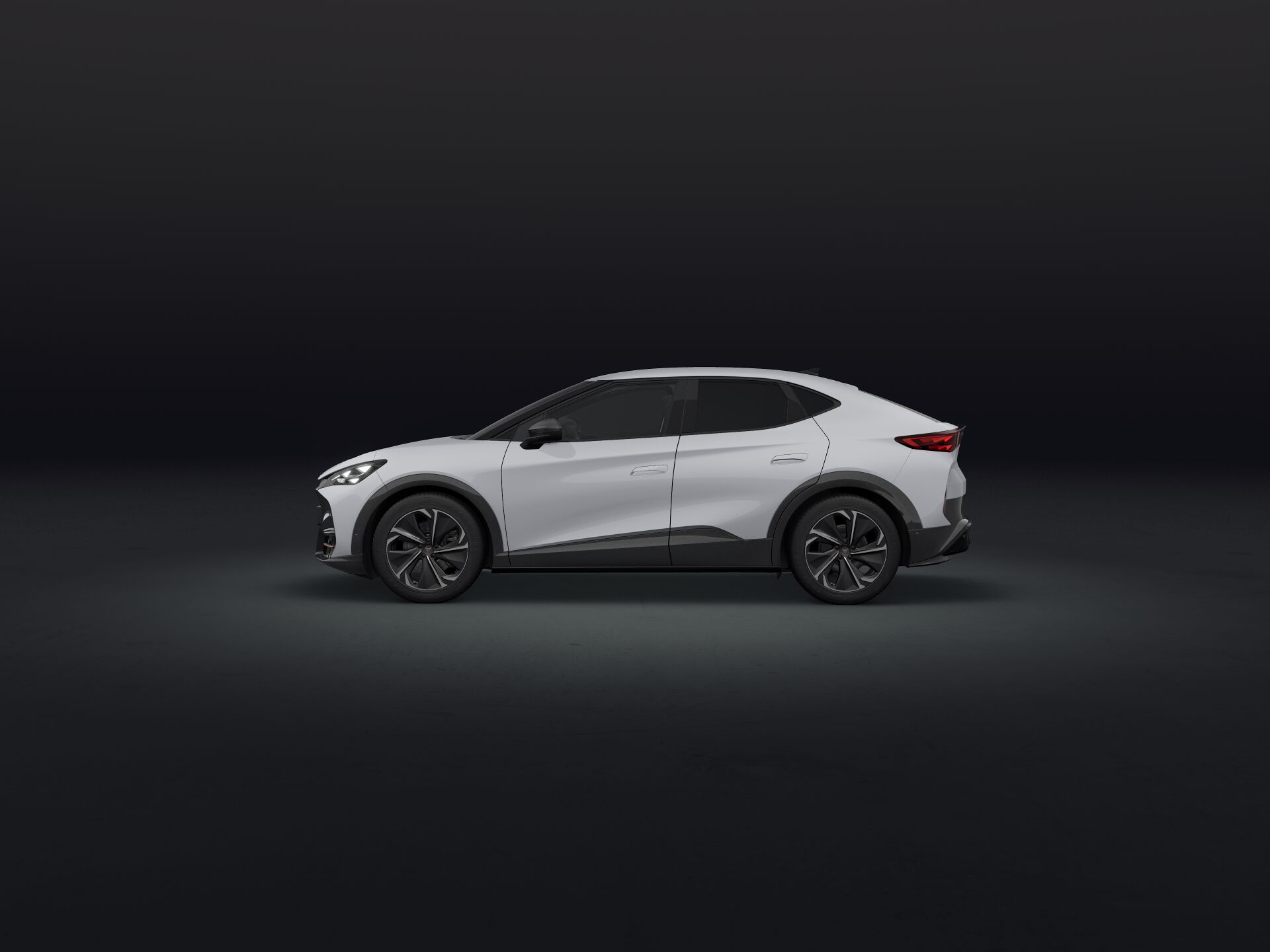 Bild eines Tavascan VZ 4Drive 250kW/340PS