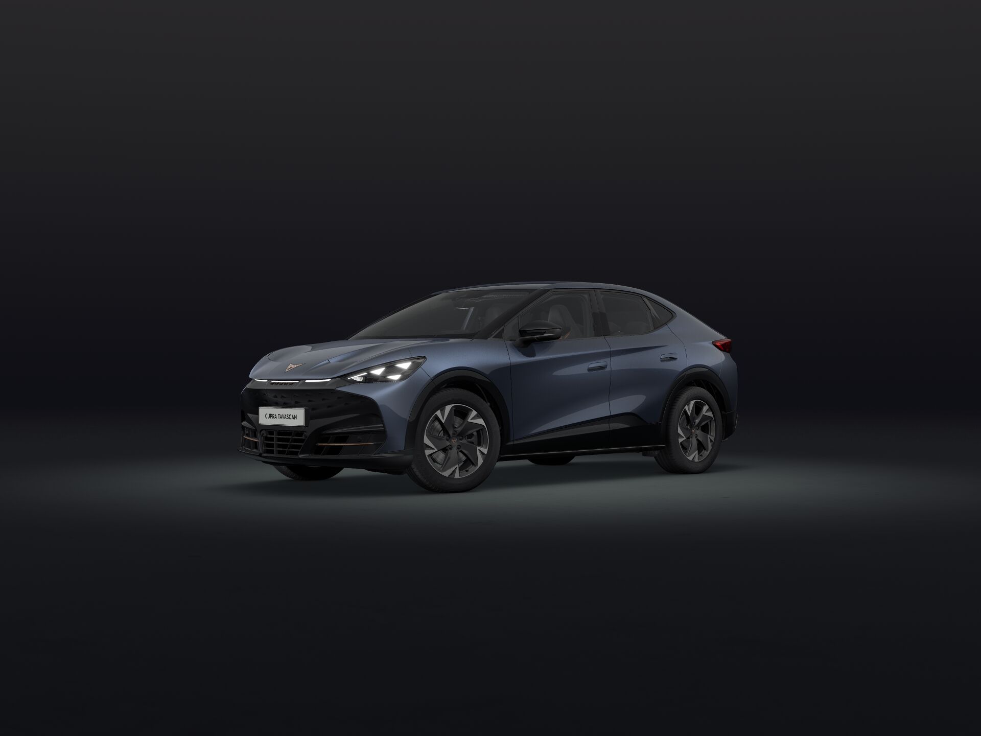 Bild eines Tavascan Base 210kW/286PS